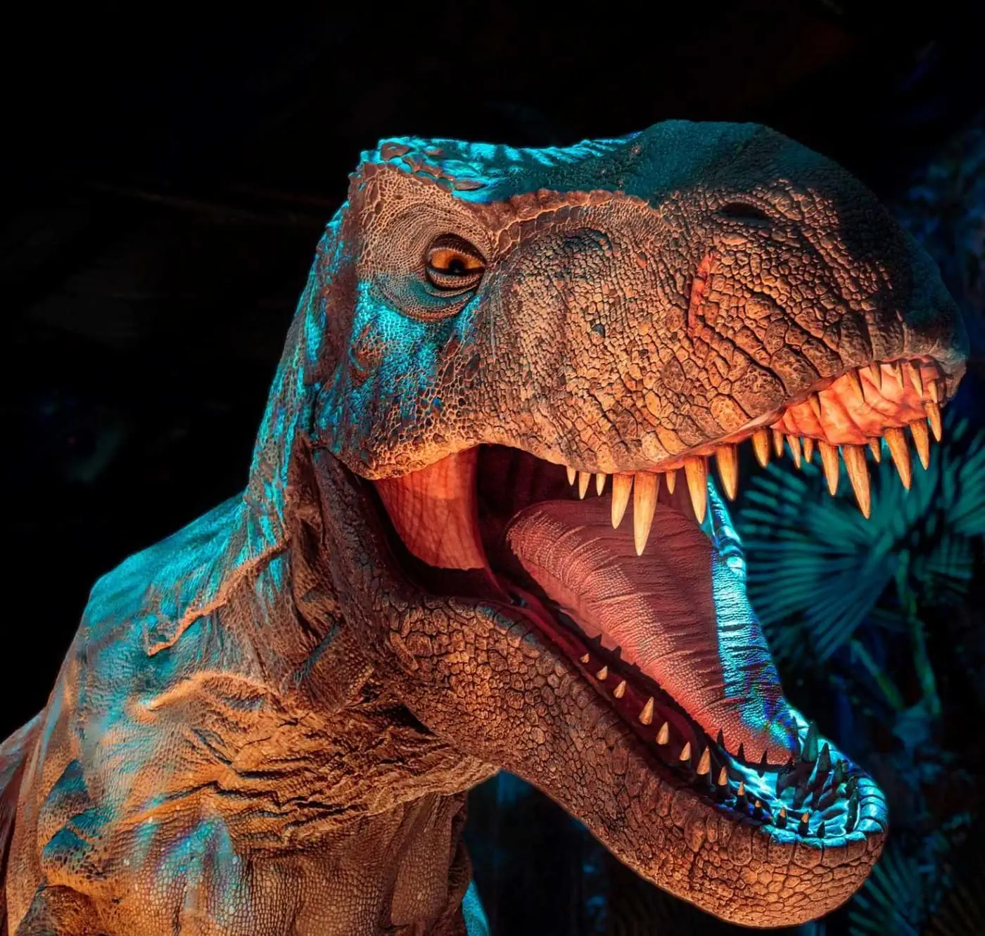 Jurassic World Trex1©2023 Universal Studios And Amblin Entertainment Inc. All Rights Reserved