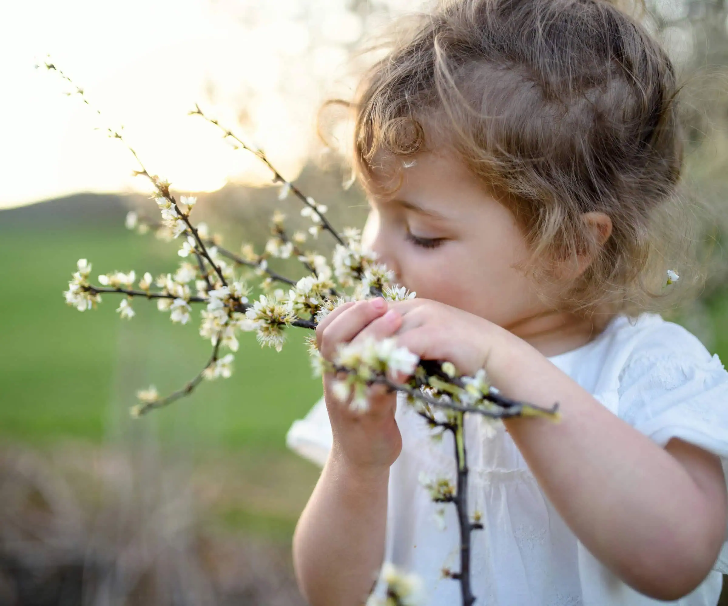 Himbeer Mini-Tipps Für Berlin Mit Kleinkind Im Mai: Was Familien Mit Babys Und Kleinkindern In Berlin Im Frühling Unternehmen Können.