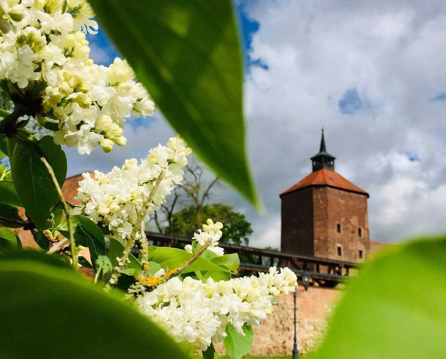 Hollefest Und Hexennacht Auf Burg Beeskow, Vierte Aprilwochenende // Himbeer