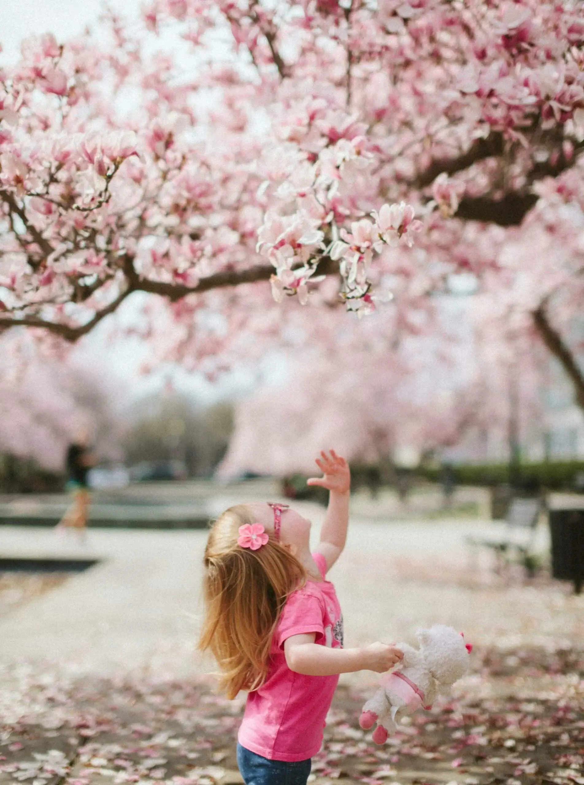 Kirschblütenfest In Den Gärten Der Welt, Zweite Aprilwochenende // Himbeer