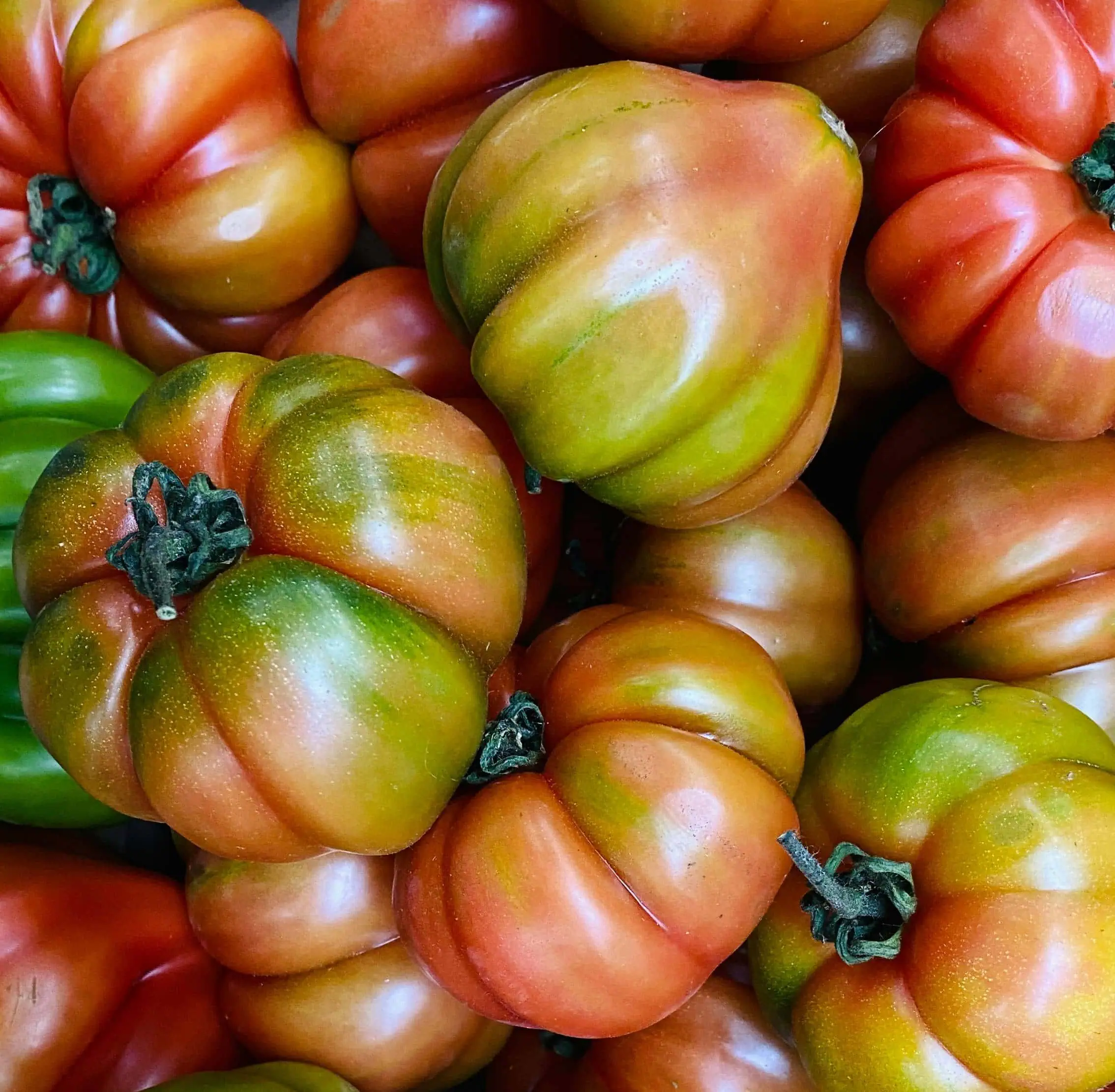 Theater Und Tomate Auf Dem Naturhof Malchow // Himbeer