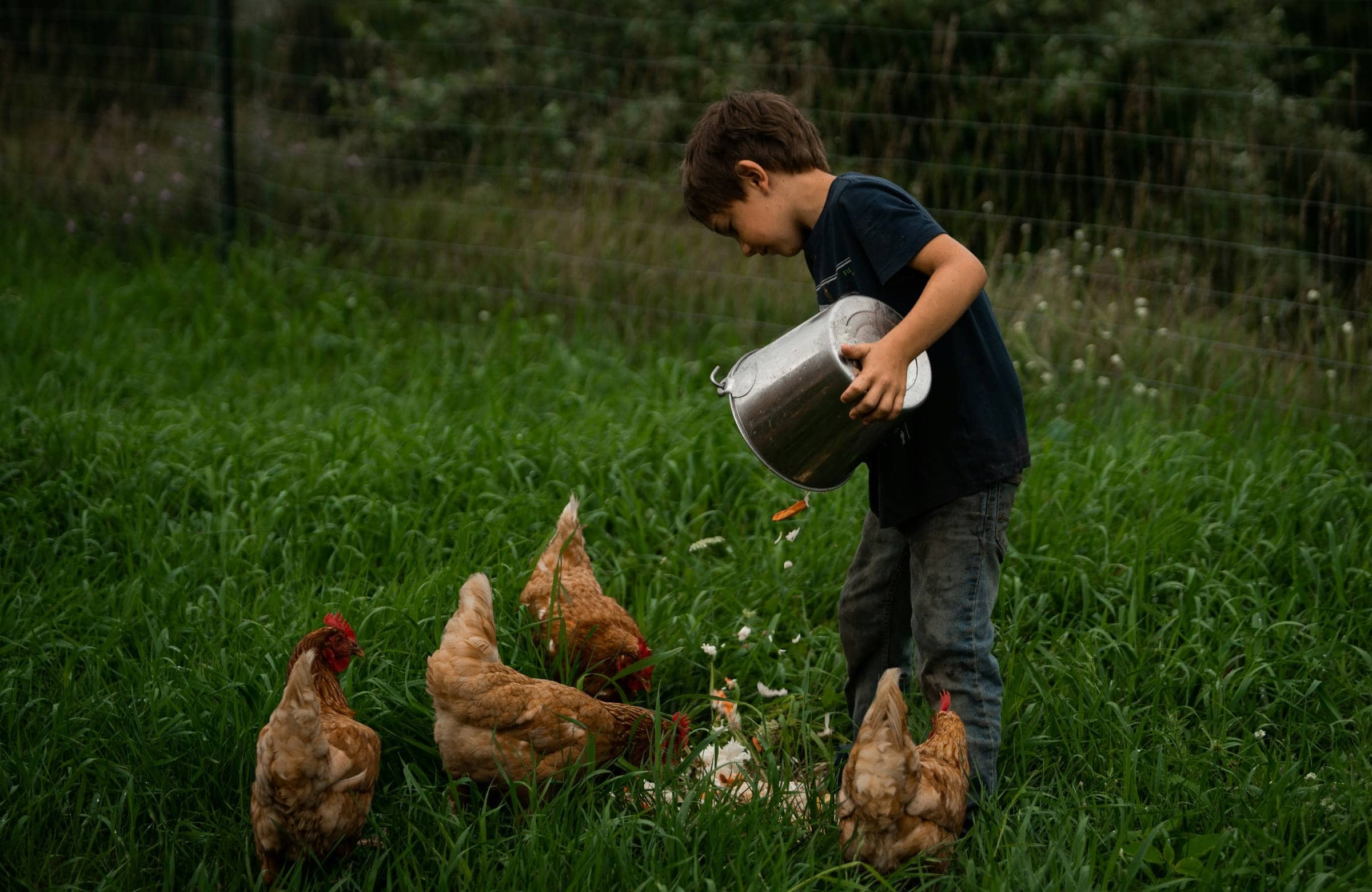 Helft Mit Bei Der Tierversorgung Auf Gut Herbishagen, Ausflug // Himbeer