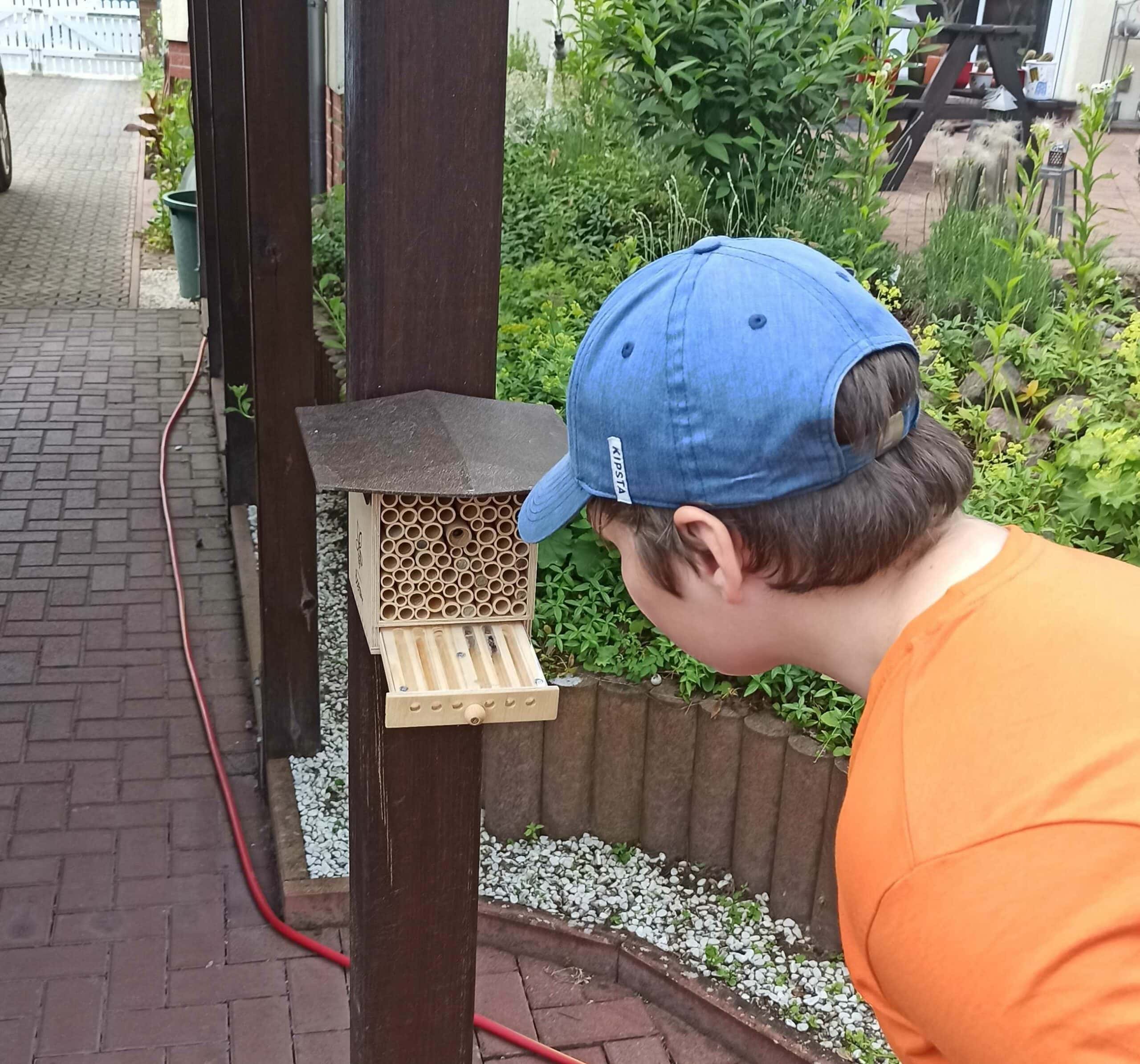 BeeHome von Pollinature im Test // HIMBEER