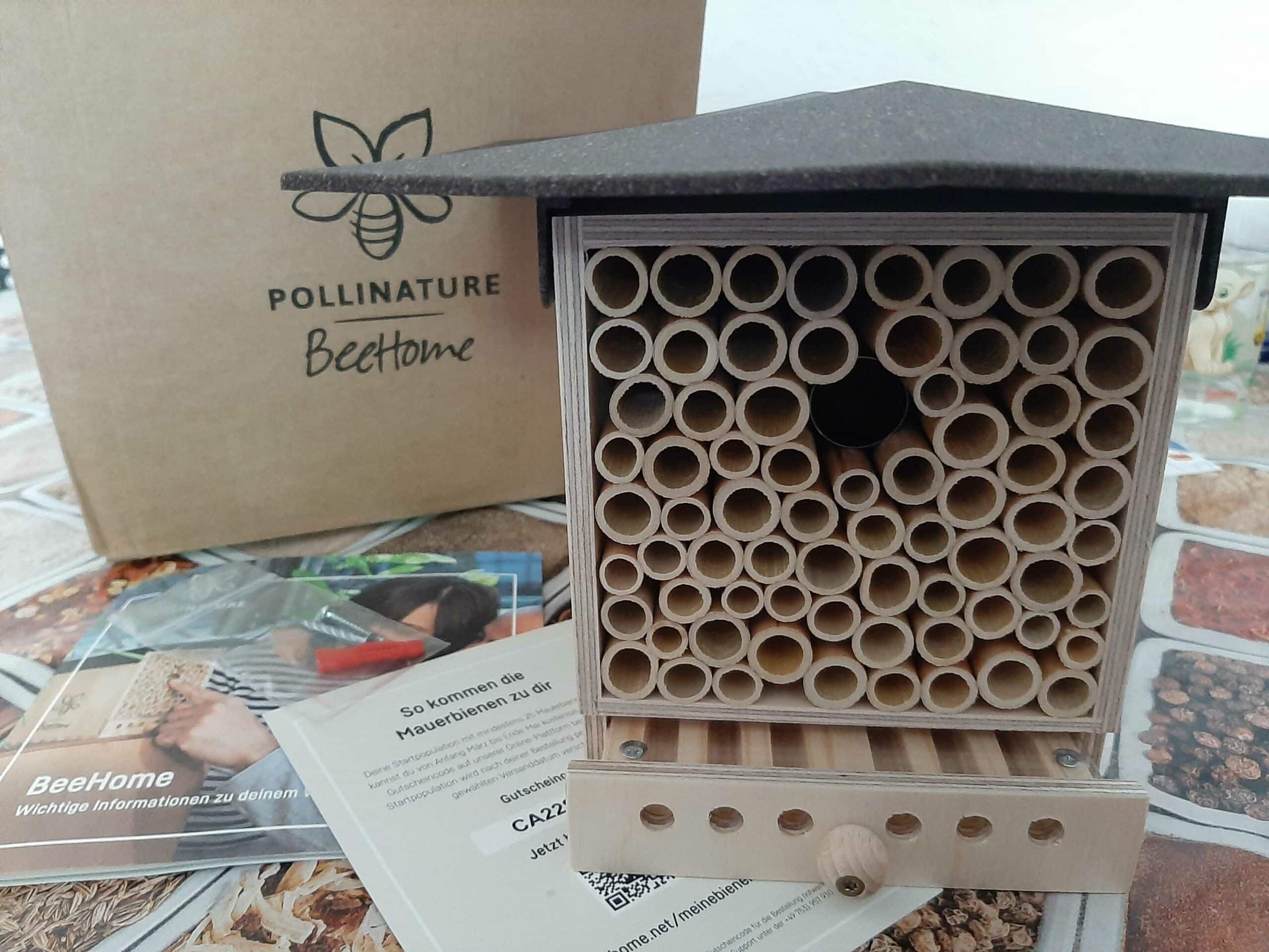 BeeHome von Pollinature im Test // HIMBEER