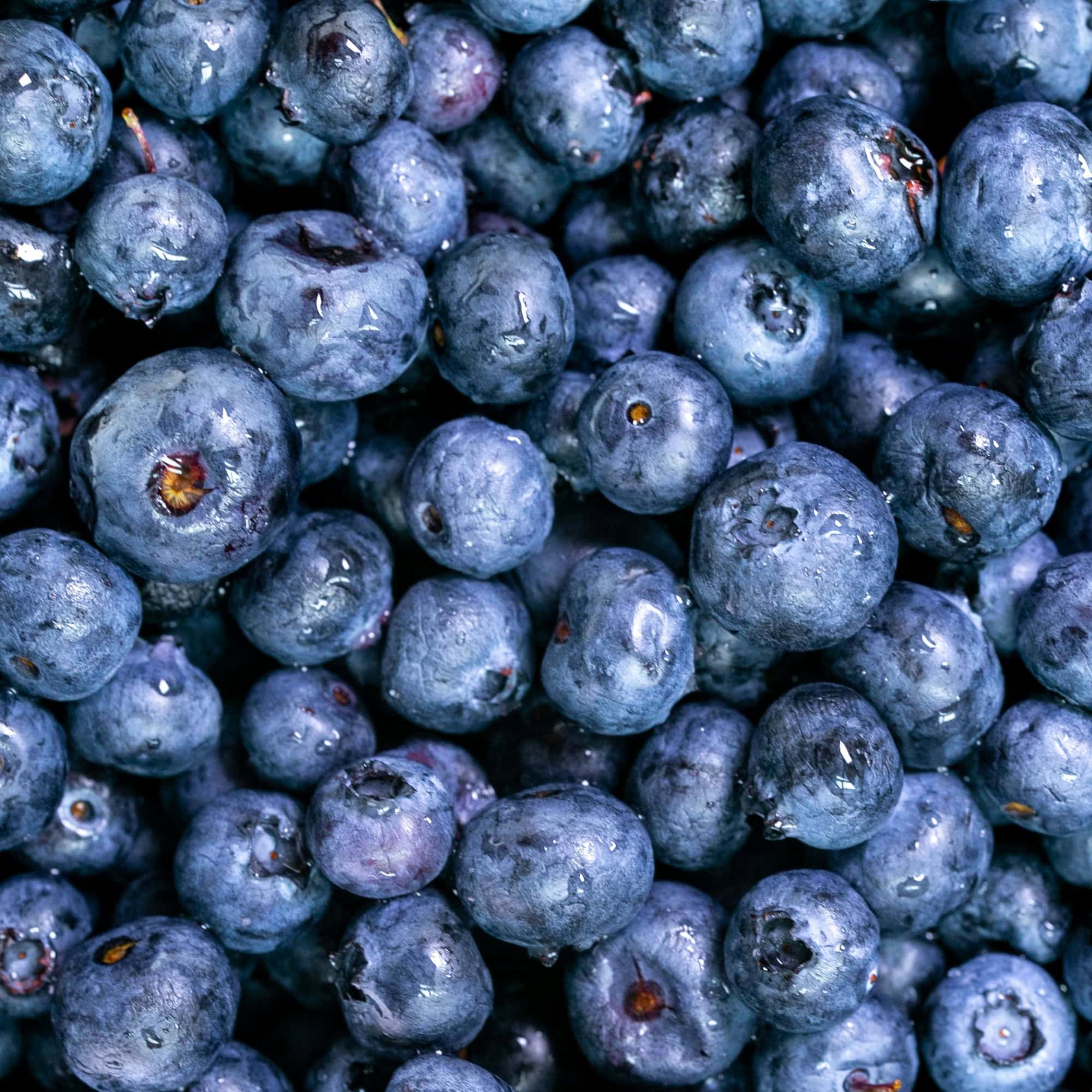 Obst-Getreide-Brei mit Heidelbeeren für Babys zubereiten // HIMBEER