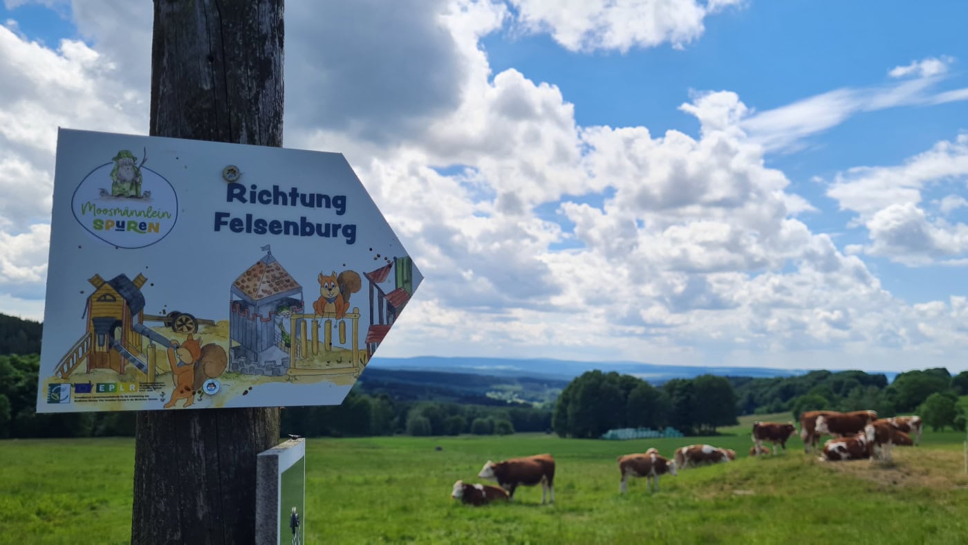 Familienurlaub In Sachsen // Himbeer