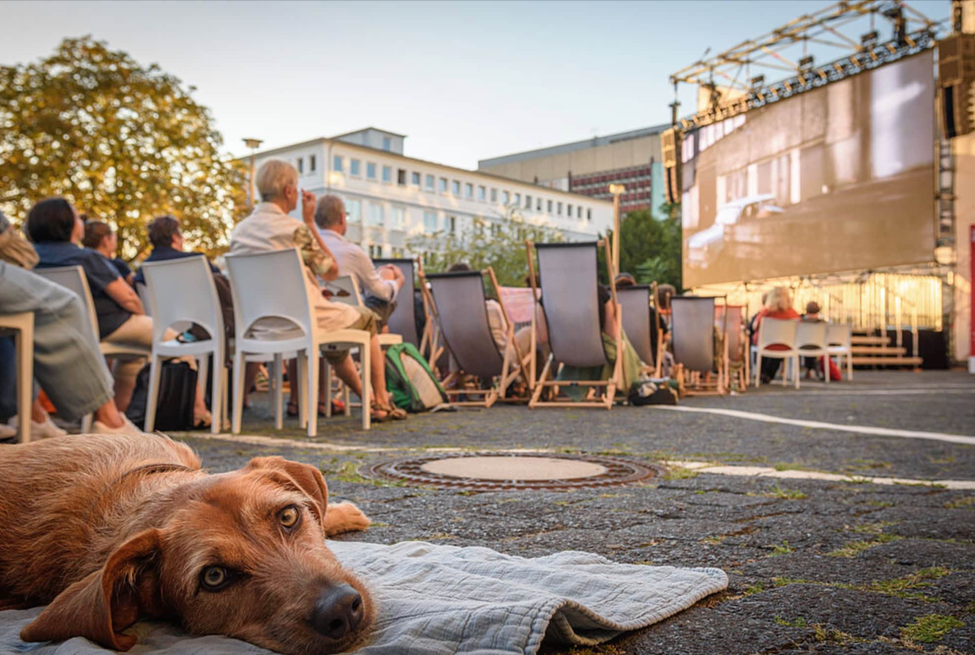 Stasi-Unterlagen-Archiv // Himbeer