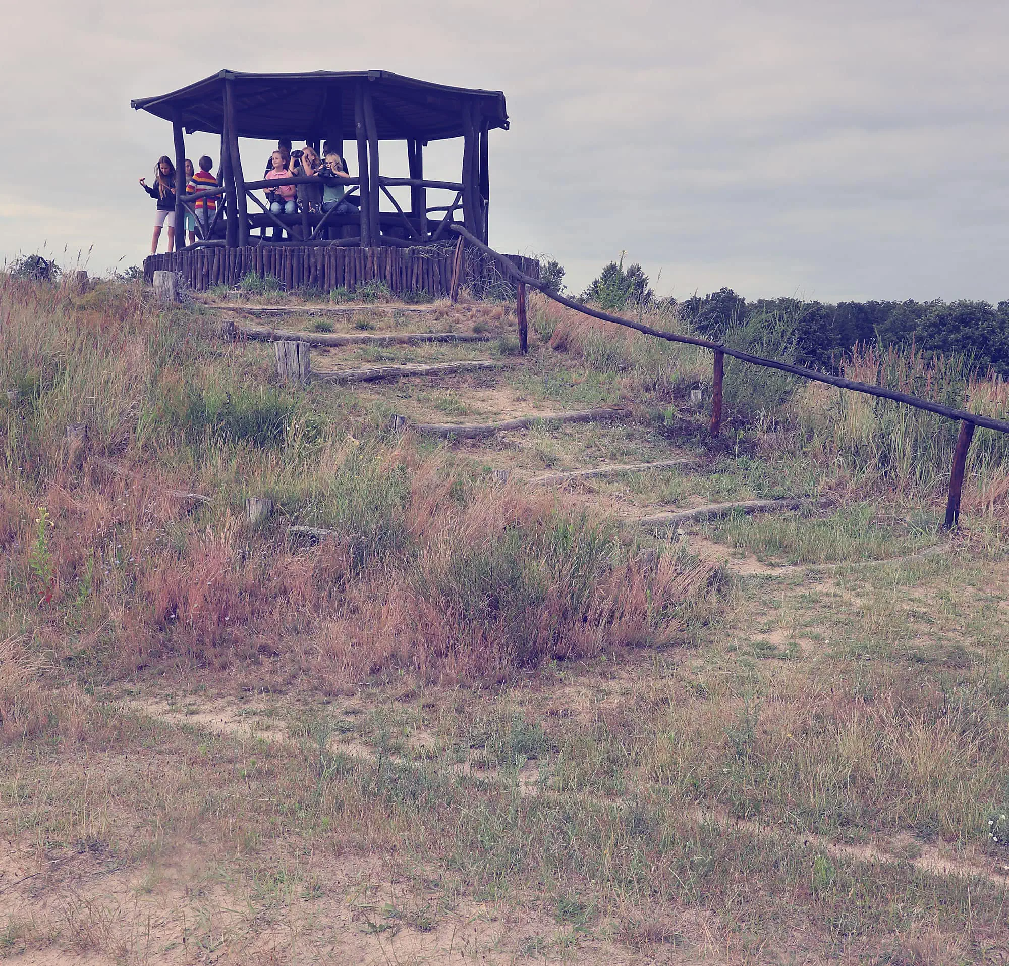 Abenteuer Artenschutz – Ausflug Mit Kindern Zum Natur-Erlebniszentrum Der Naturlandschaft Döberitzer Heide // Himbeer