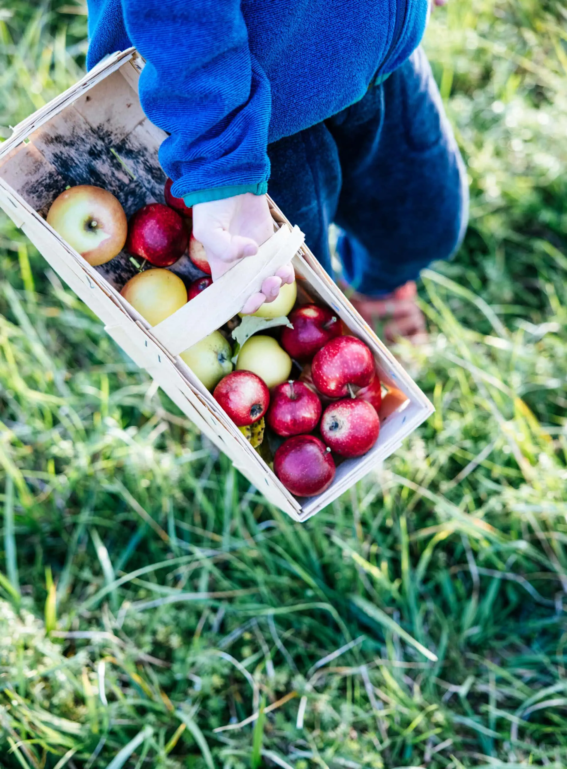 Herbstliche Feste Ganz Im Zeichen Des Apfels, Erntedank Für Familien // Himbeer