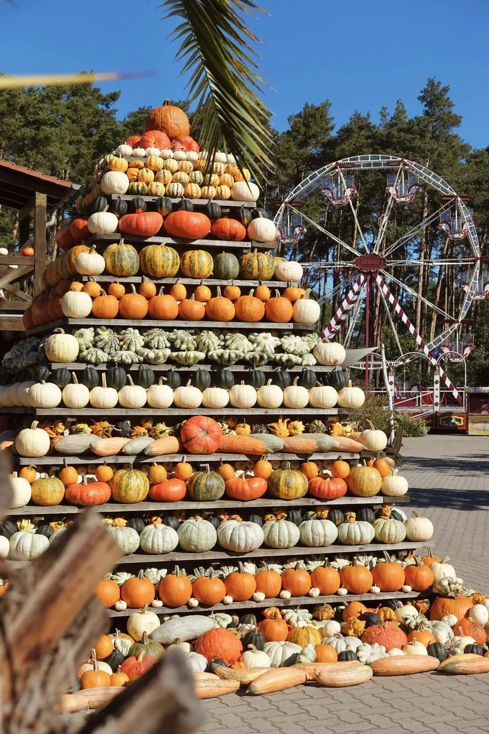 Mini-Tipps Im Oktober: Kürbisausstellung Und Herbstevents Auf Dem Spargelhof Klaistow // Himbeer