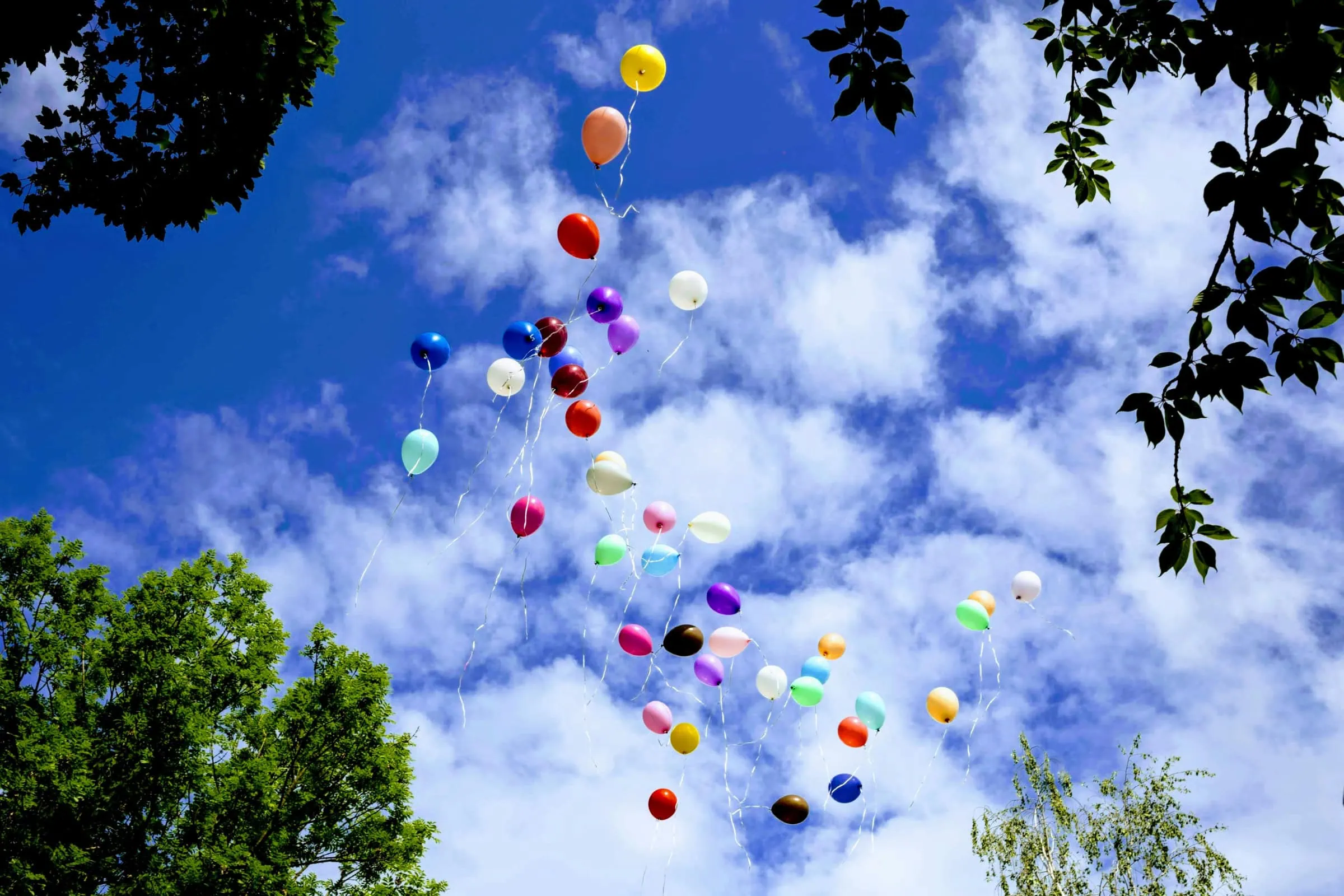 Buntes Familienfest Kinderkult Im Park, Britzer Garten // Himbeer