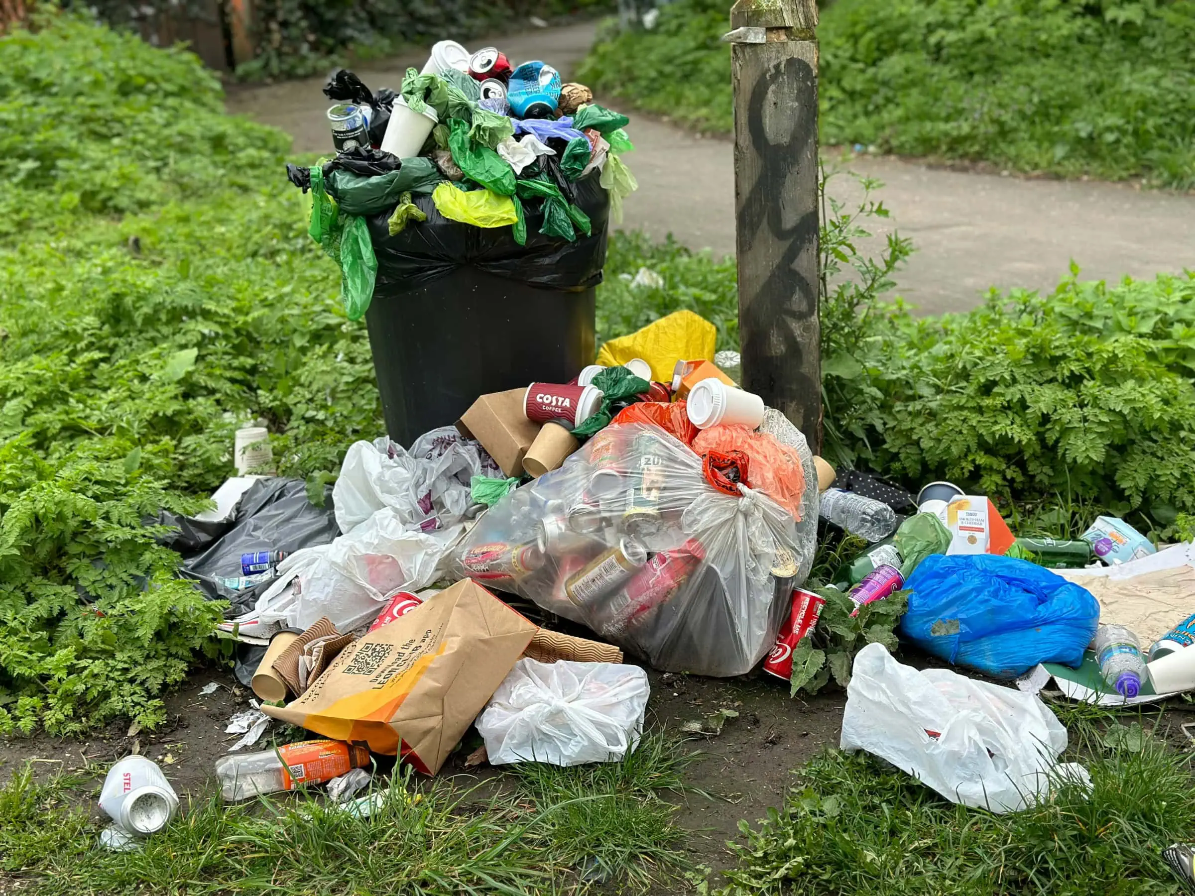 Berlinweiter Aktionstag Zum World Cleanup Day // Himbeer