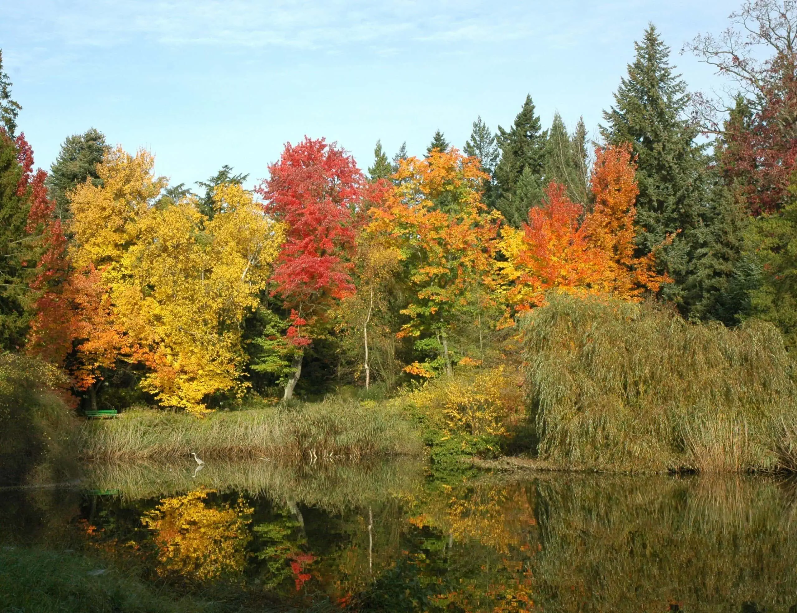 Schöne Ausflüge Mit Kindern In Berlin Im Herbst: Amerikasee Im Botanischen Garten Berlin-Dahlem