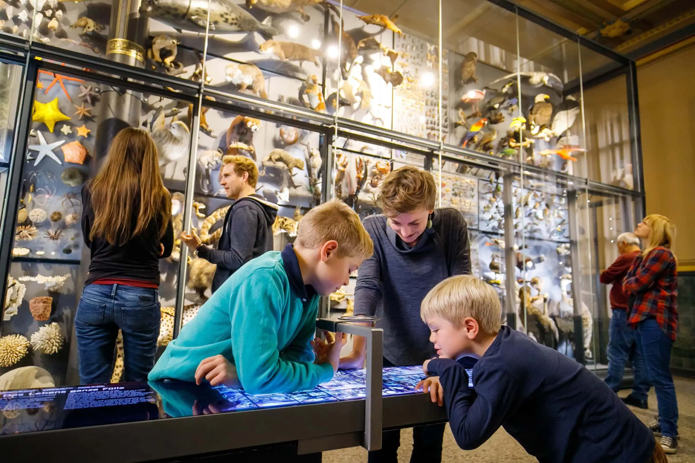 Kinderfest Im Museum Für Naturkunde Berlin // Himbeer