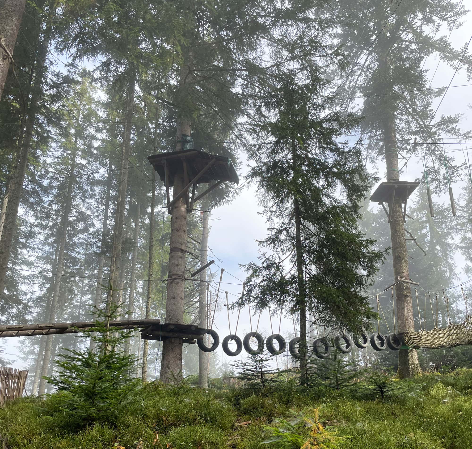 Reisebericht Salzburger Alpen: Waldseilgarten Natrun – Spaß Und Abenteuer In Den Bäumen // Himbeer