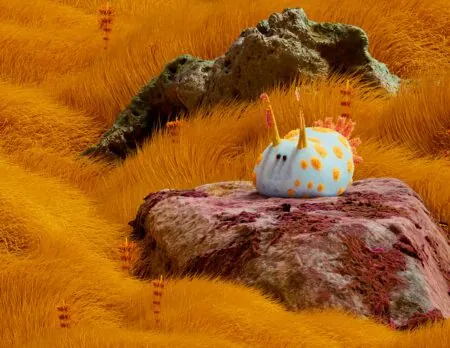 Immersive Ausstellung: Origins – Ursprung Des Lebens // Himbeer