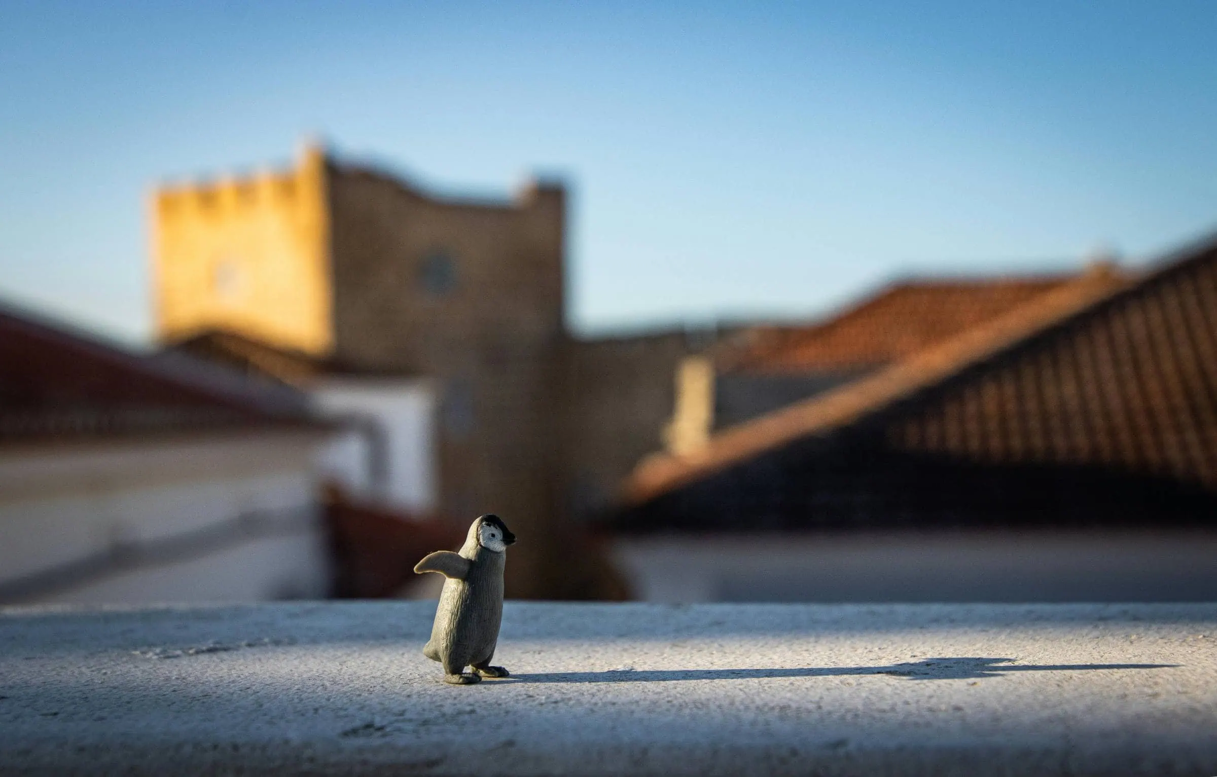 Mario, Der Eismann Und Der Pinguin Im Theater Jaro Für Kinder // Himbeer