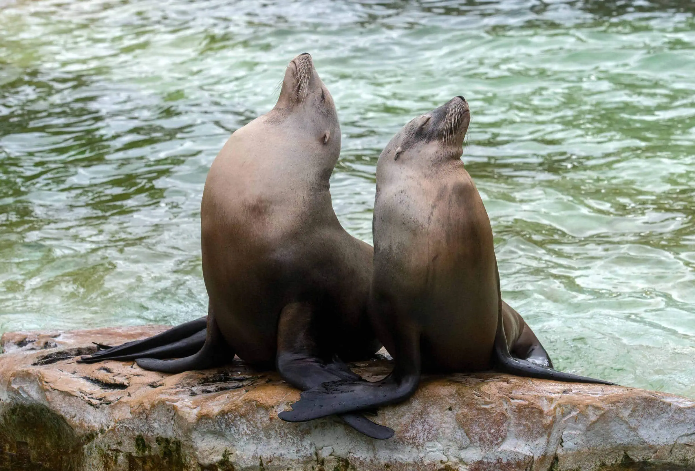 Winterferienprogramm Im Zoo Berlin Für Kinder // Himbeer