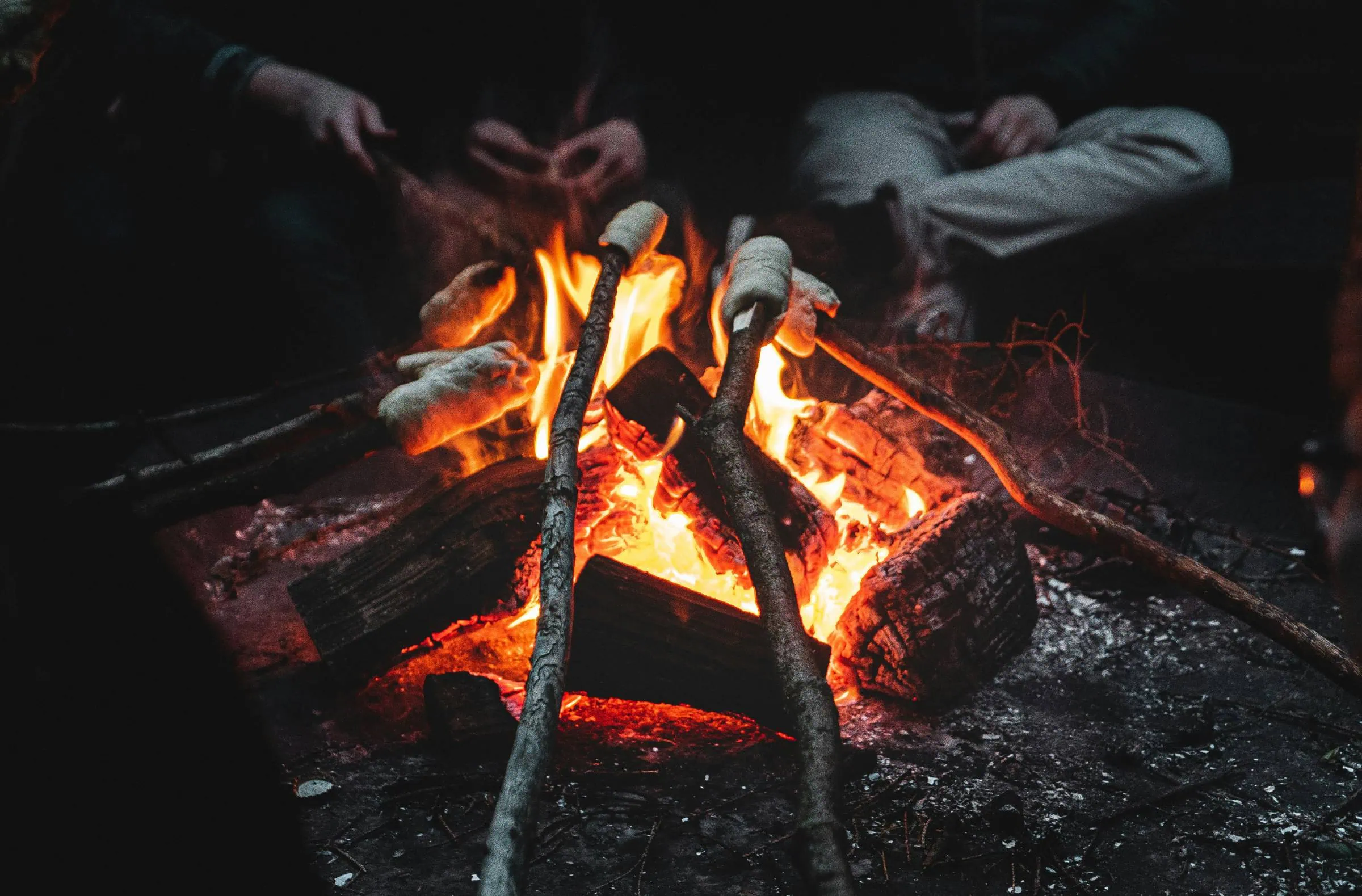 Das Naturschutzzentrum Ökowerk Lädt Zum Stockbrot An Die Feuerschale // Himbeer