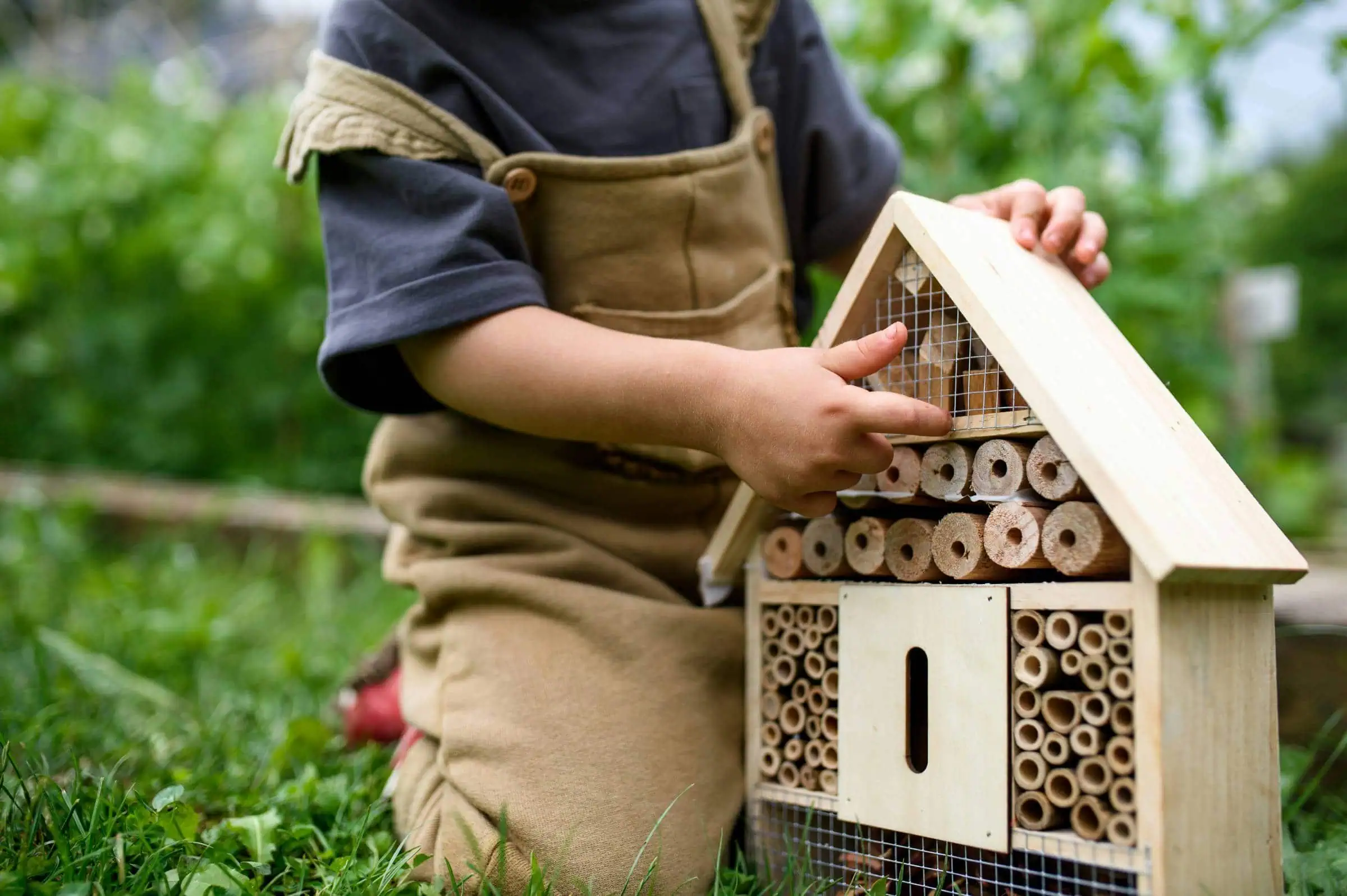 Wildbienen Brauchen Ein Zuhause, Bau Von Nisthilfen // Himbeer