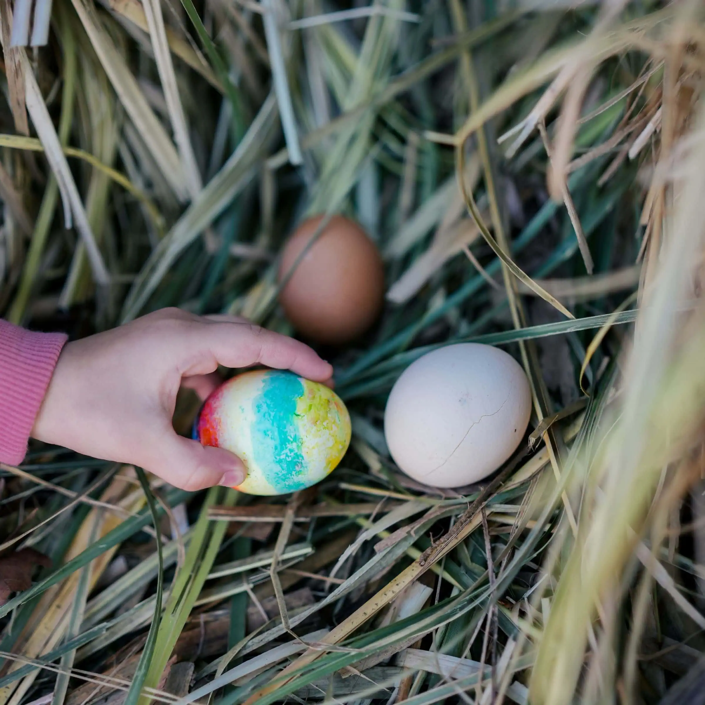 Ausflugstipps Zu Ostern: Ostereier Im Umland Suchen // Himbeer