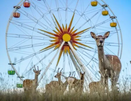 Sonnenlandpark Lichtenau Im Oster-Gewinnspiel // Himbeer