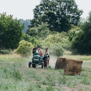 Ausflüge: Brandenburger Landpartie // Himbeer
