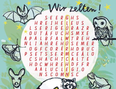 Himbeerchen Kinderrätsel: Wir Zelten! Ausgedacht Und Gezeichnet Von Silke Schmidt Für Das Familienmagazin Himbeer