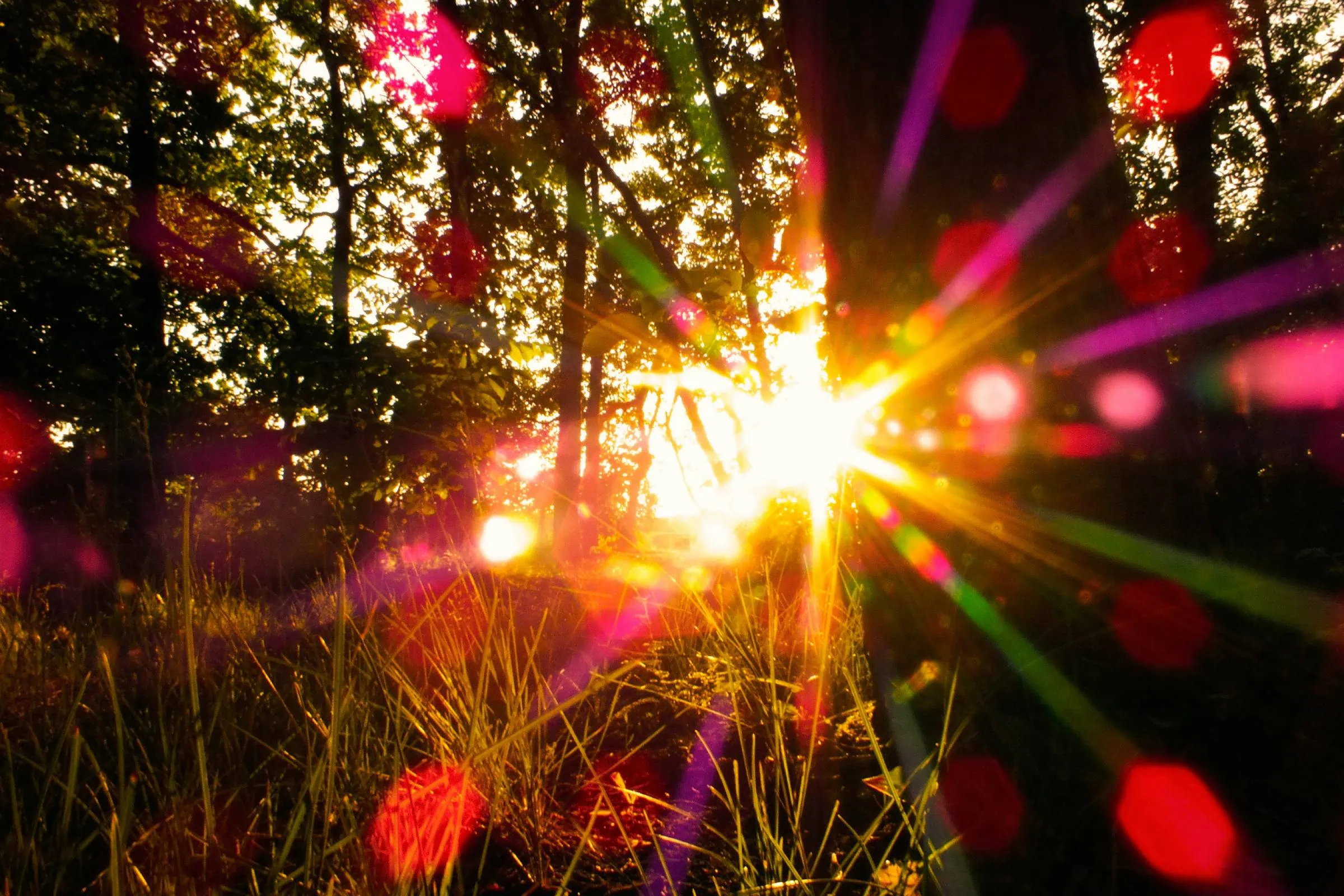 Märchen Zur Sommersonnenwende Im Juni // Himbeer