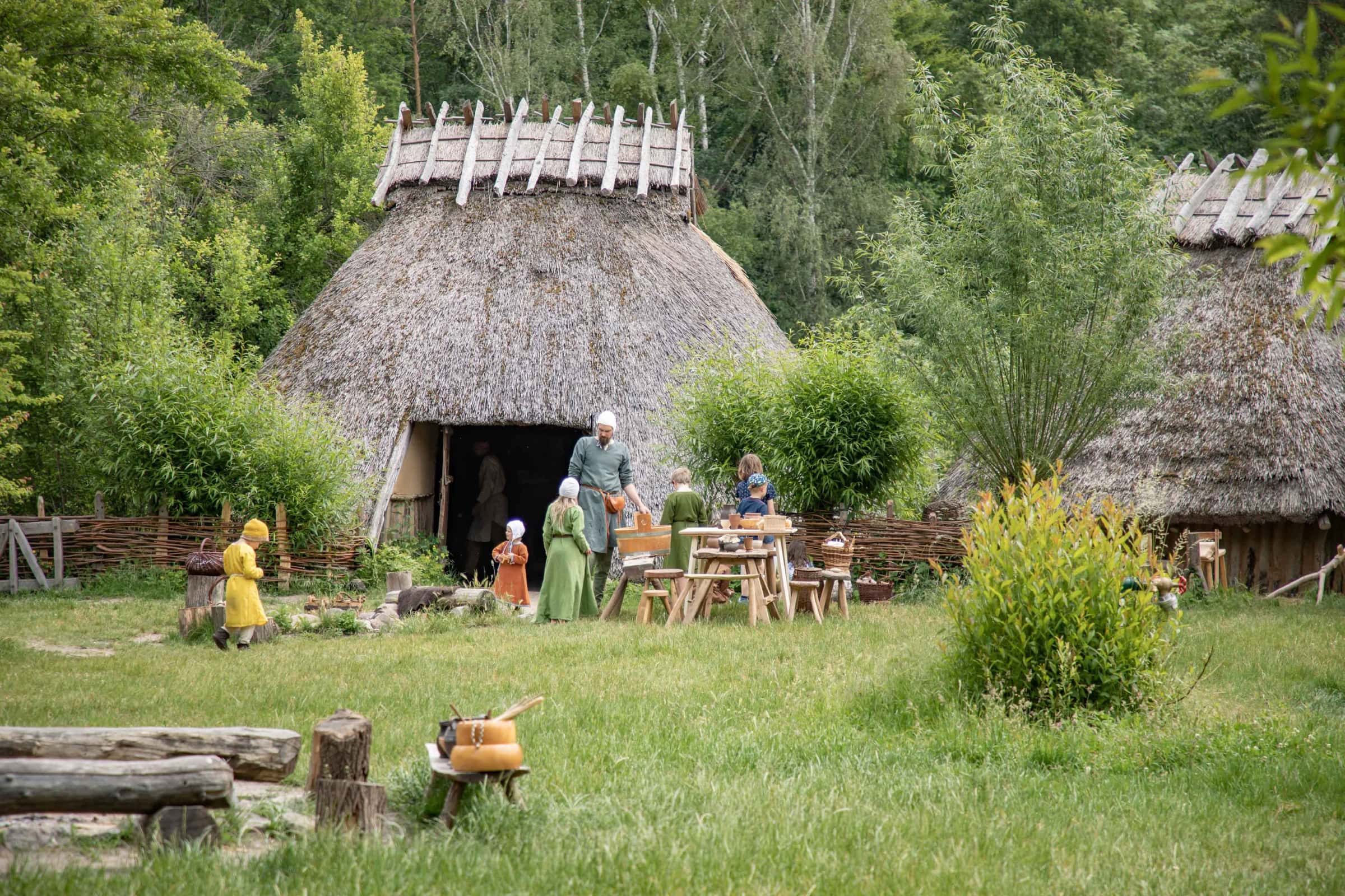 Sommerferien Im Freilichtmuseum // Himbeer