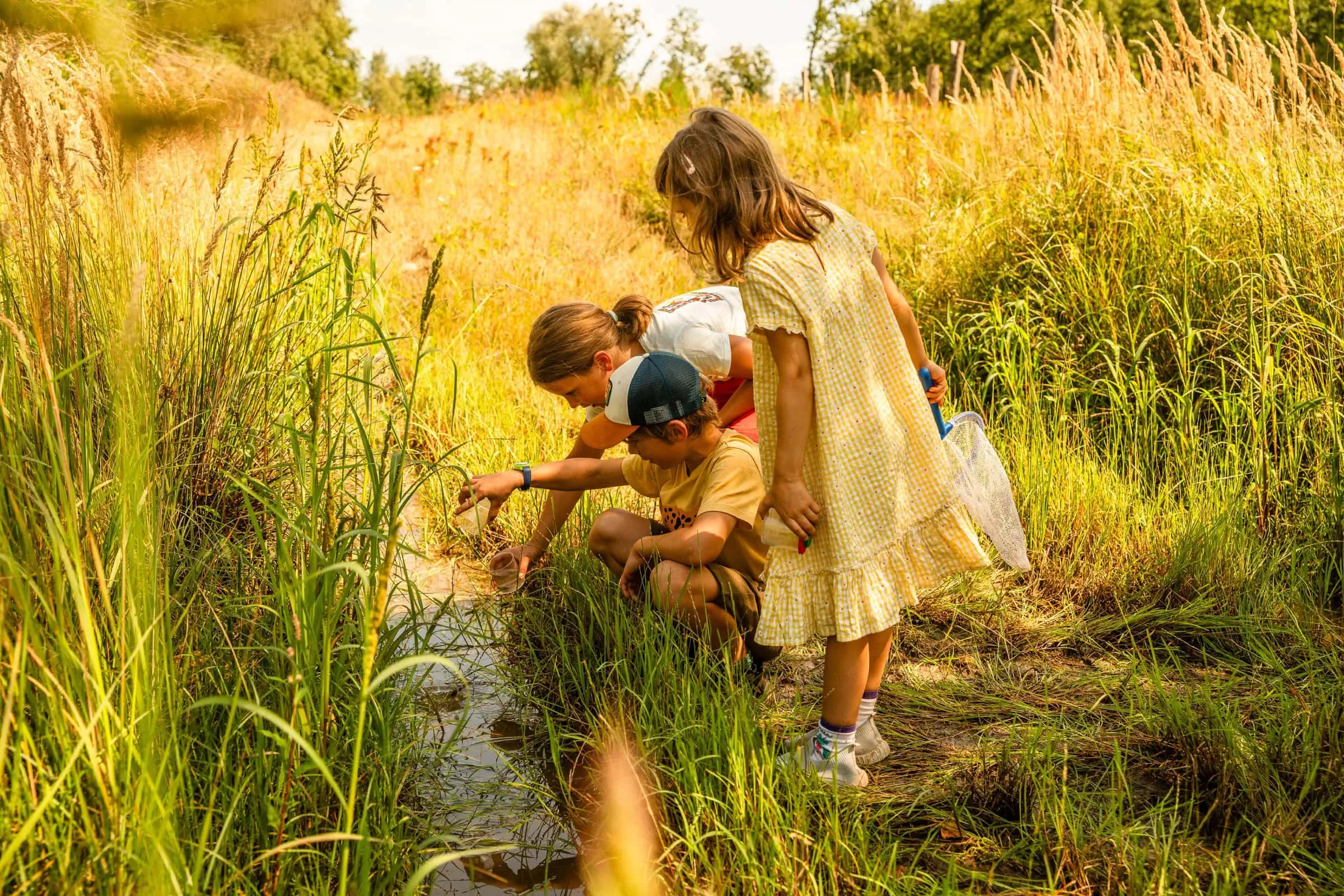 Natur-Erlebnistag Döberitzer Heide, Für Familien, Ausflug // Himbeer