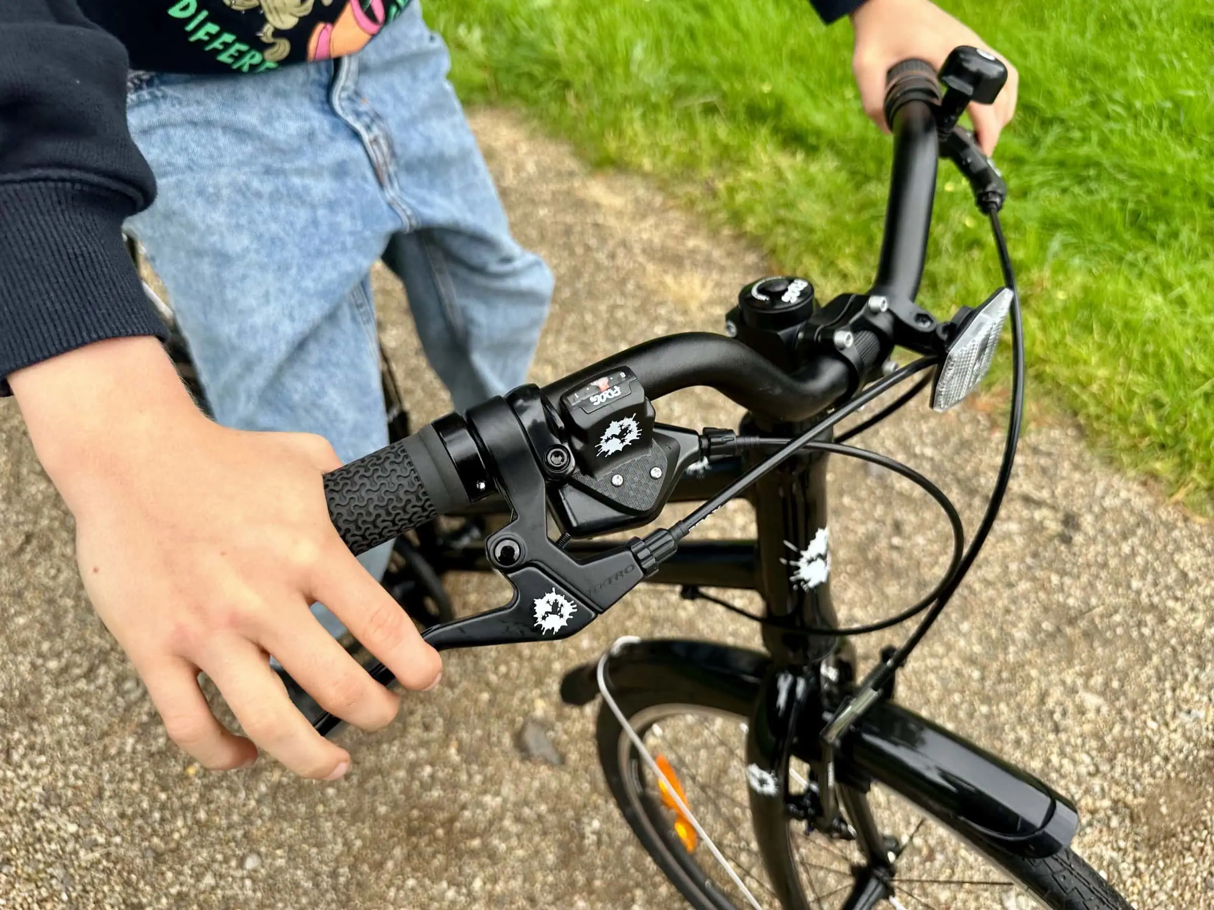 Enno Frog Bike Img 8168 1