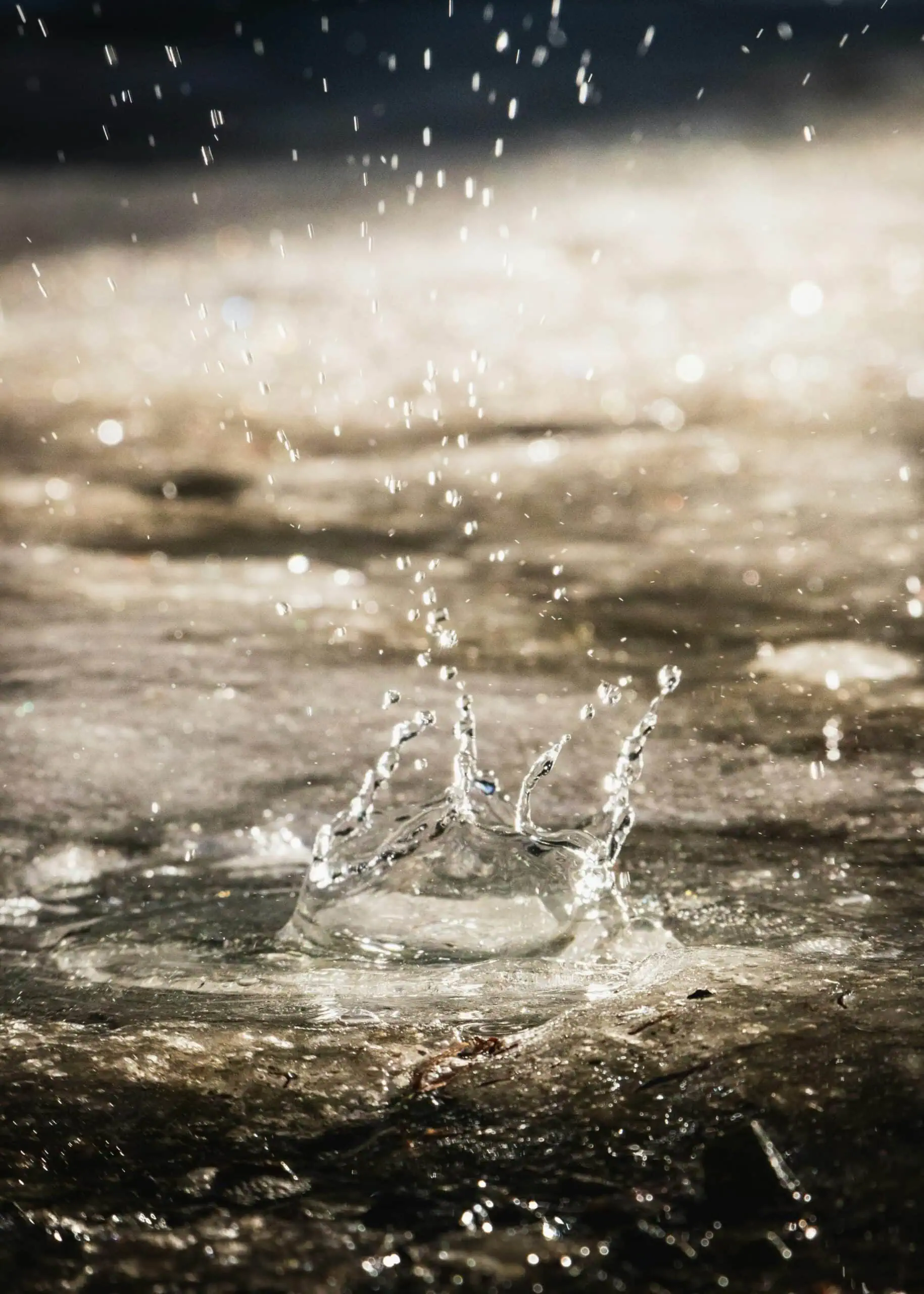 Family Sunday Mit Wasserspaß Am Uber Platz // Himbeer