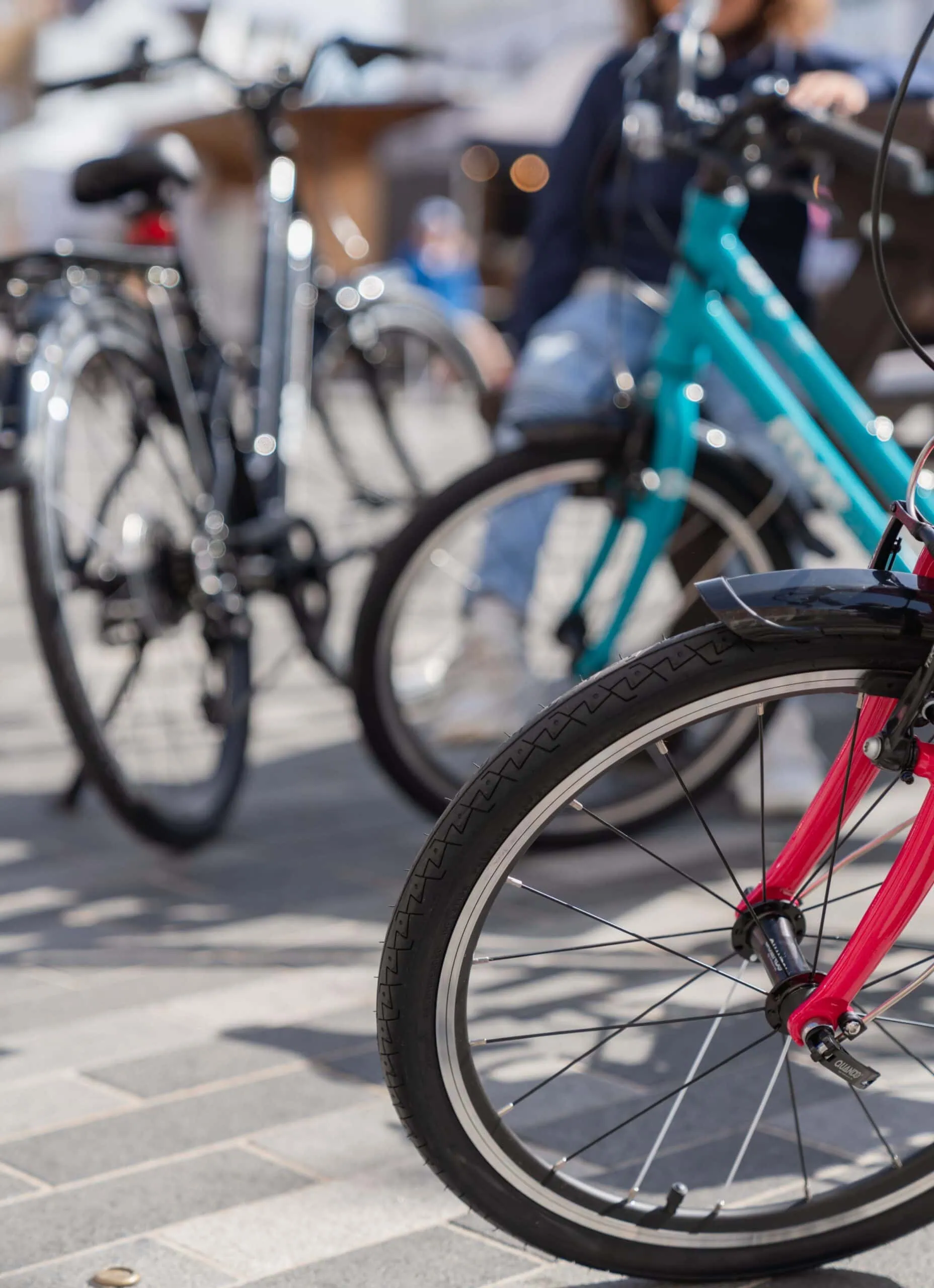 Frog City Bikes Für Kinder // Himbeer