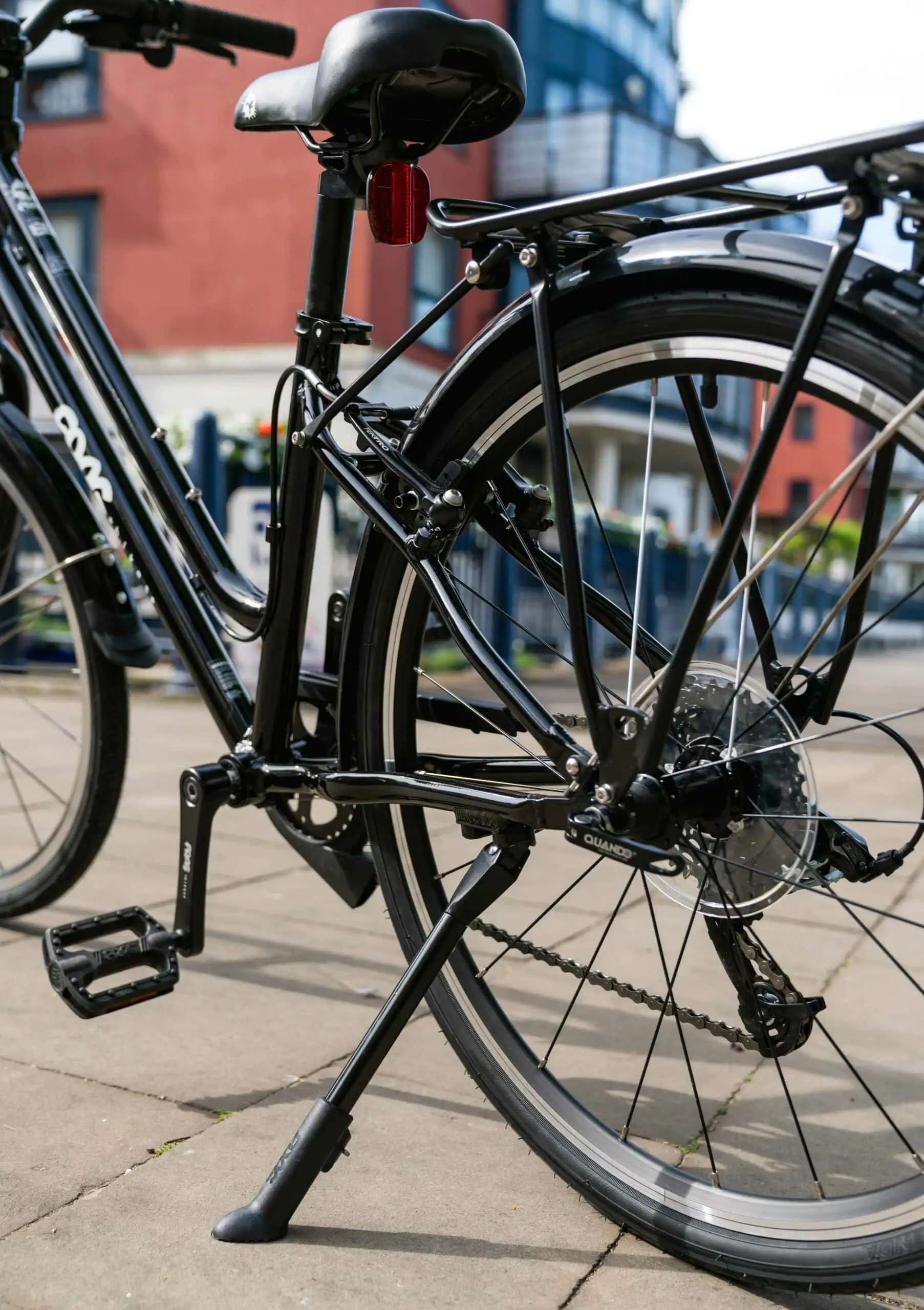 Frog Bike Details // Himbeer