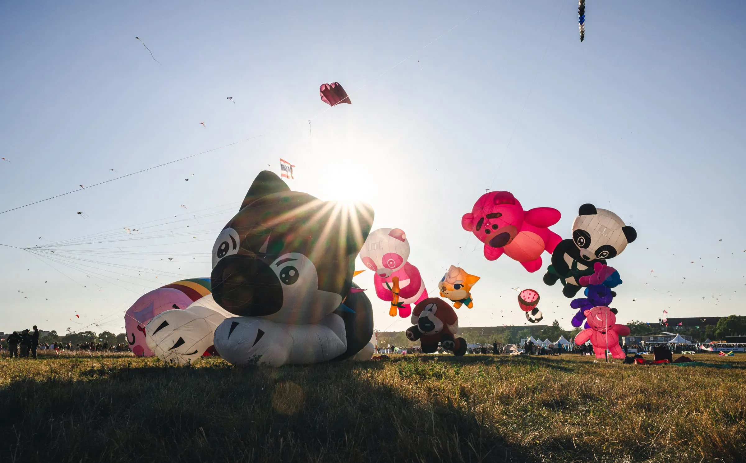 Feste Und Festivals Im September: Riesendrachen Über Dem Tempelhofer Feld / Himbeer 