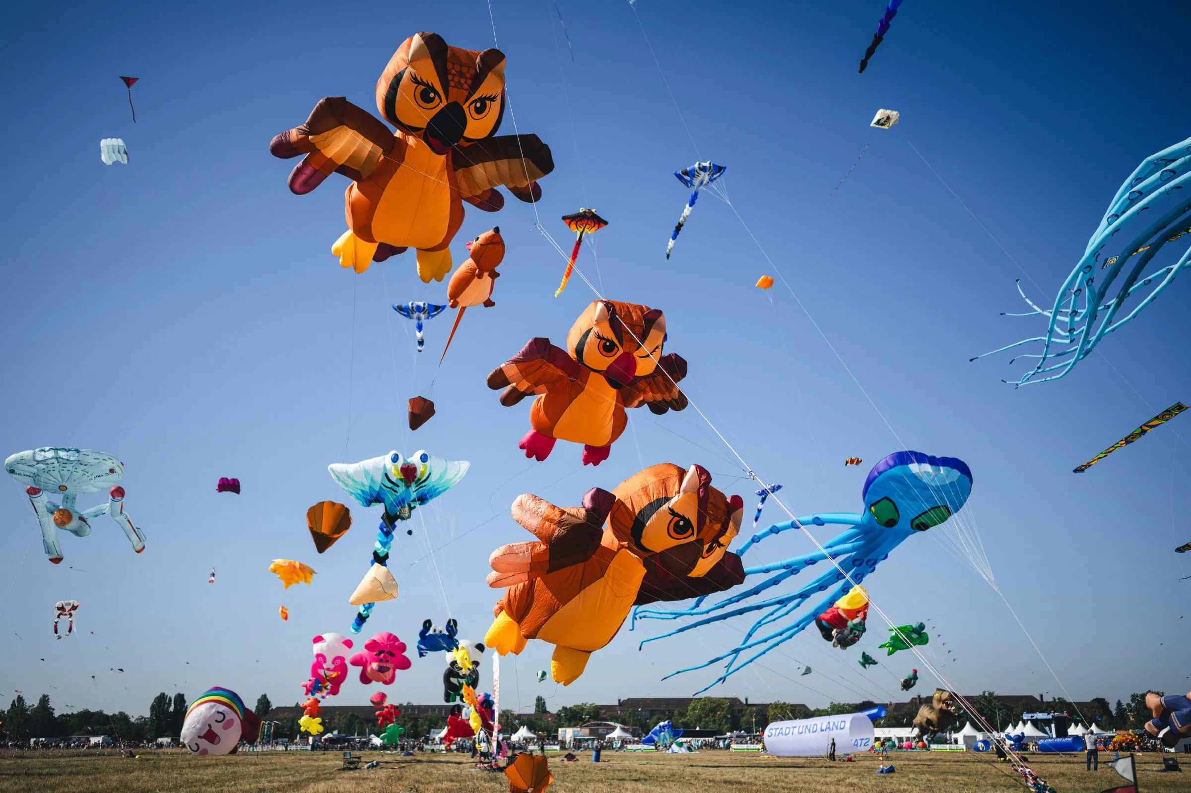 Feste Und Festivals Im September: Riesendrachen Festival Auf Dem Tempelhofer Feld // Himbeer 