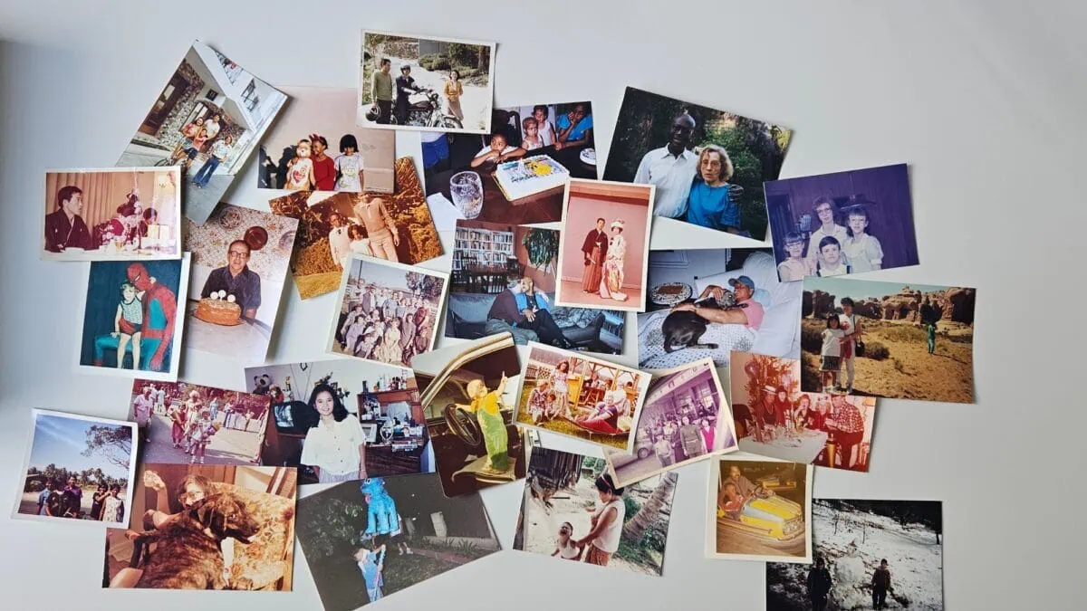 Beziehungsweise Familie - Ausstellung Im Humboldt Forum Berlin // Himbeer