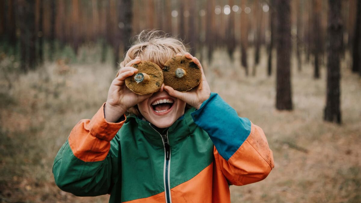 Pilzführungen und Herbstausflüge in Brandenburg mit Kindern – Pilze sammeln im Wald