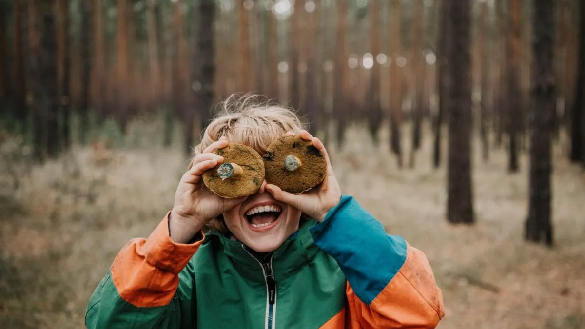Pilzführungen Und Herbstausflüge In Brandenburg Mit Kindern – Pilze Sammeln Im Wald