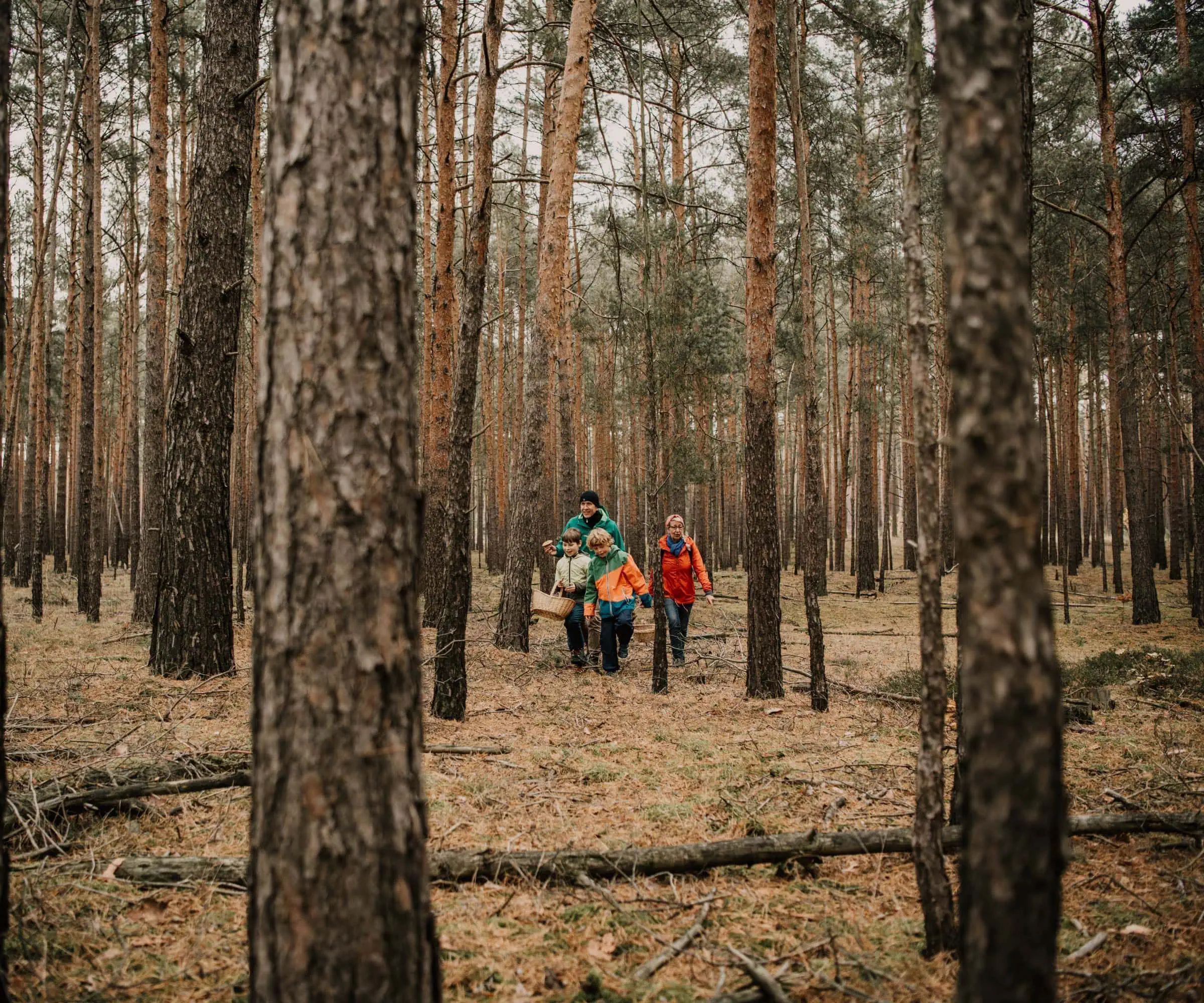 Pilzführungen Und Herbstausflüge In Brandenburg Mit Kindern – Pilze Sammeln Im Wald