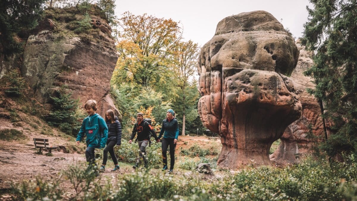 Trixi Park Zittauer Gebirge Steinzoo Gewinnspiel // Himbeer 2025