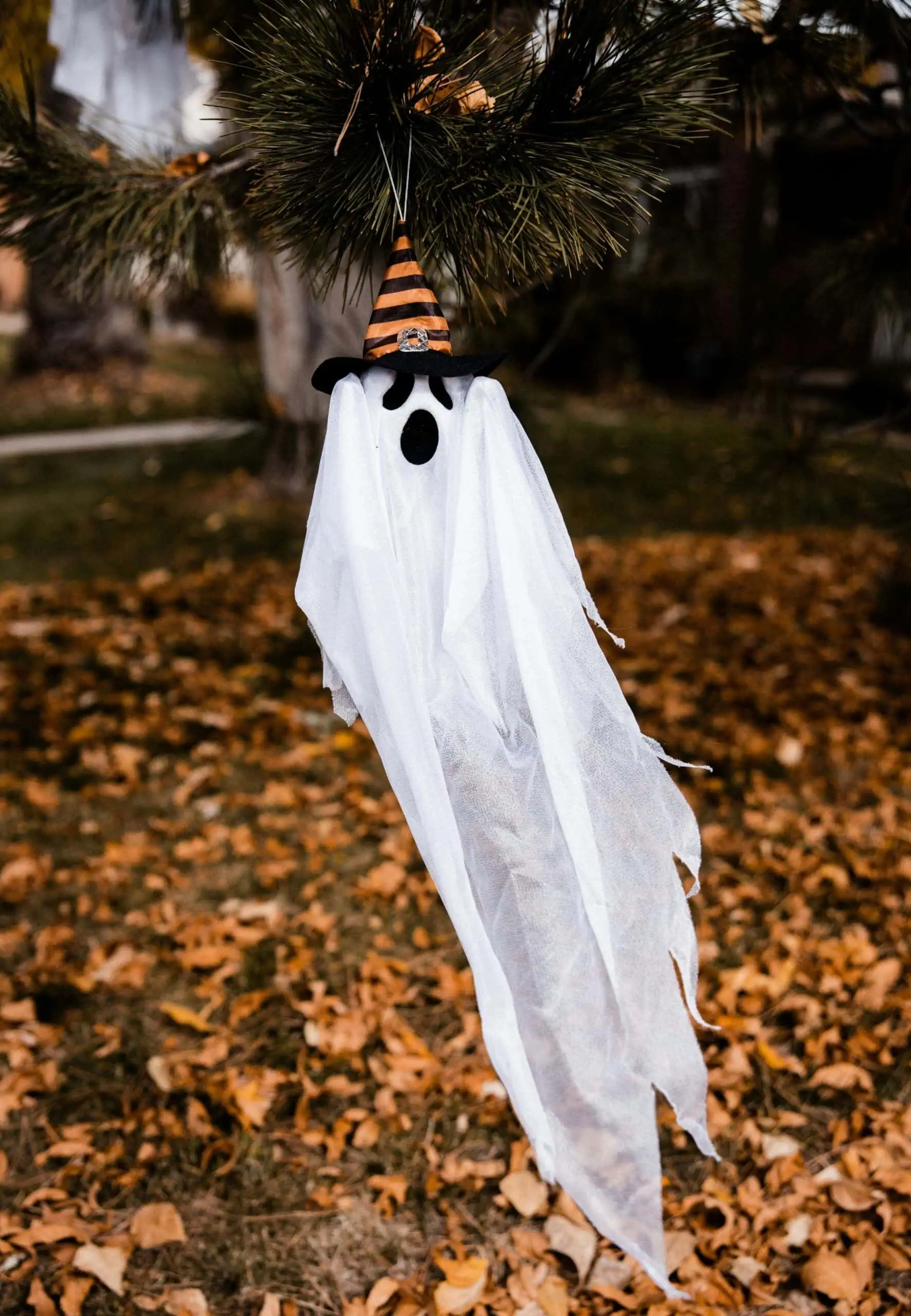 Taschenlampenrallye Zu Halloween Im Volkspark Potsdam // Himbeer