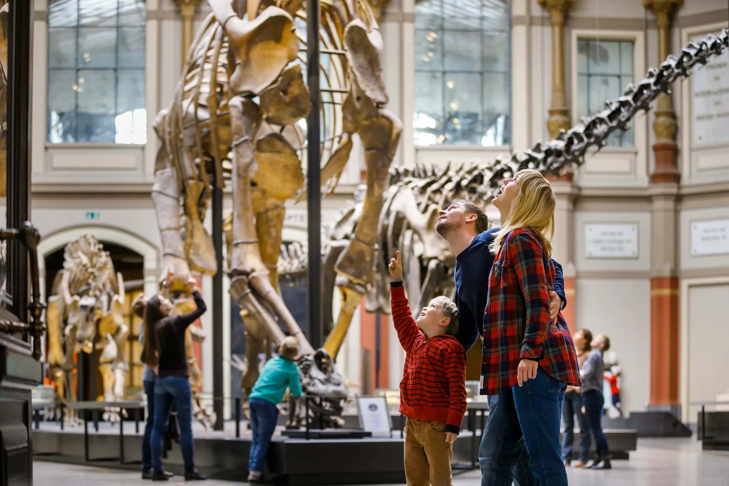 Kinderfest Im Museum Für Naturkunde Berlin // Himbeer
