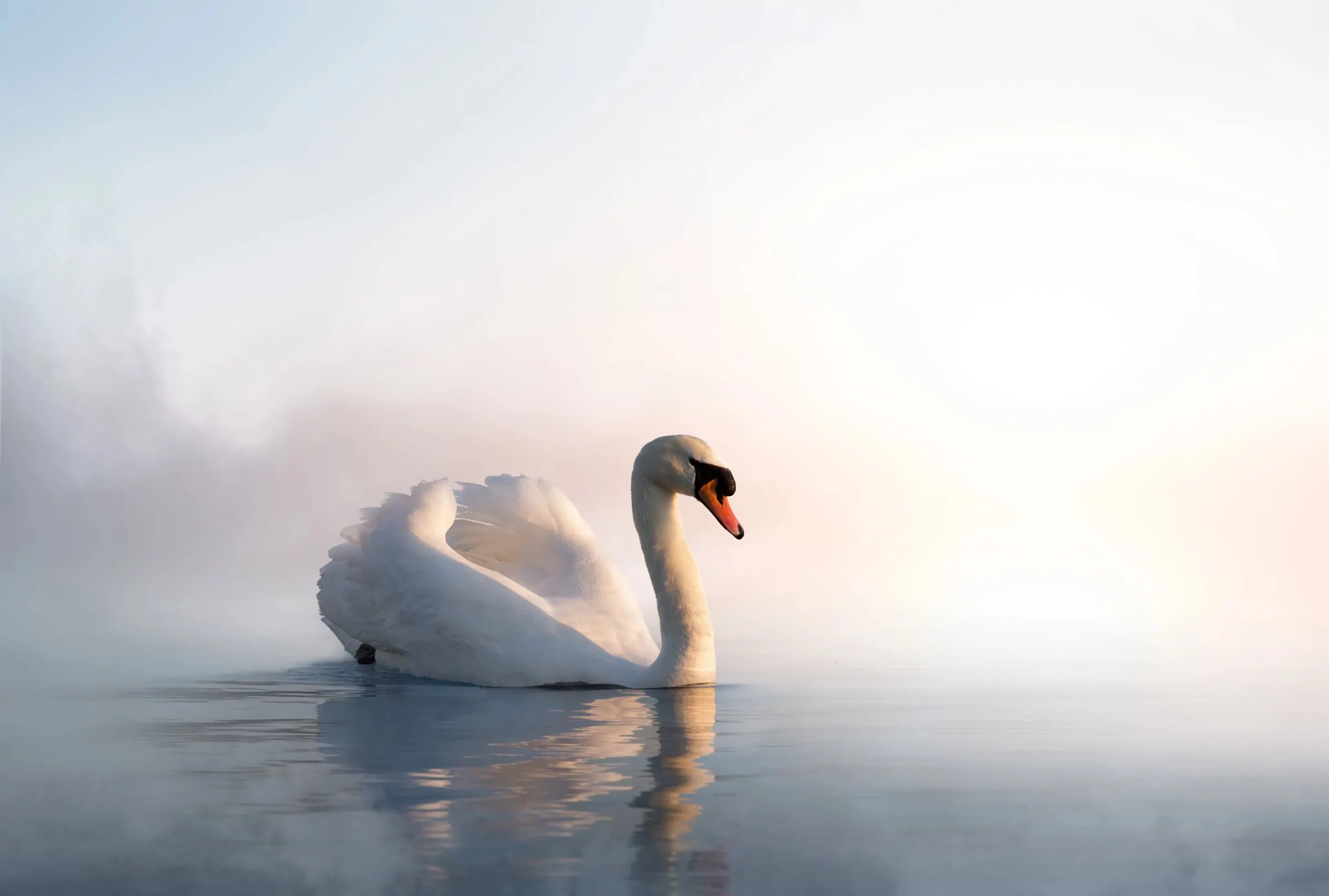 36. Berliner Märchentage, Zweite Novemberwochenende // Himbeer