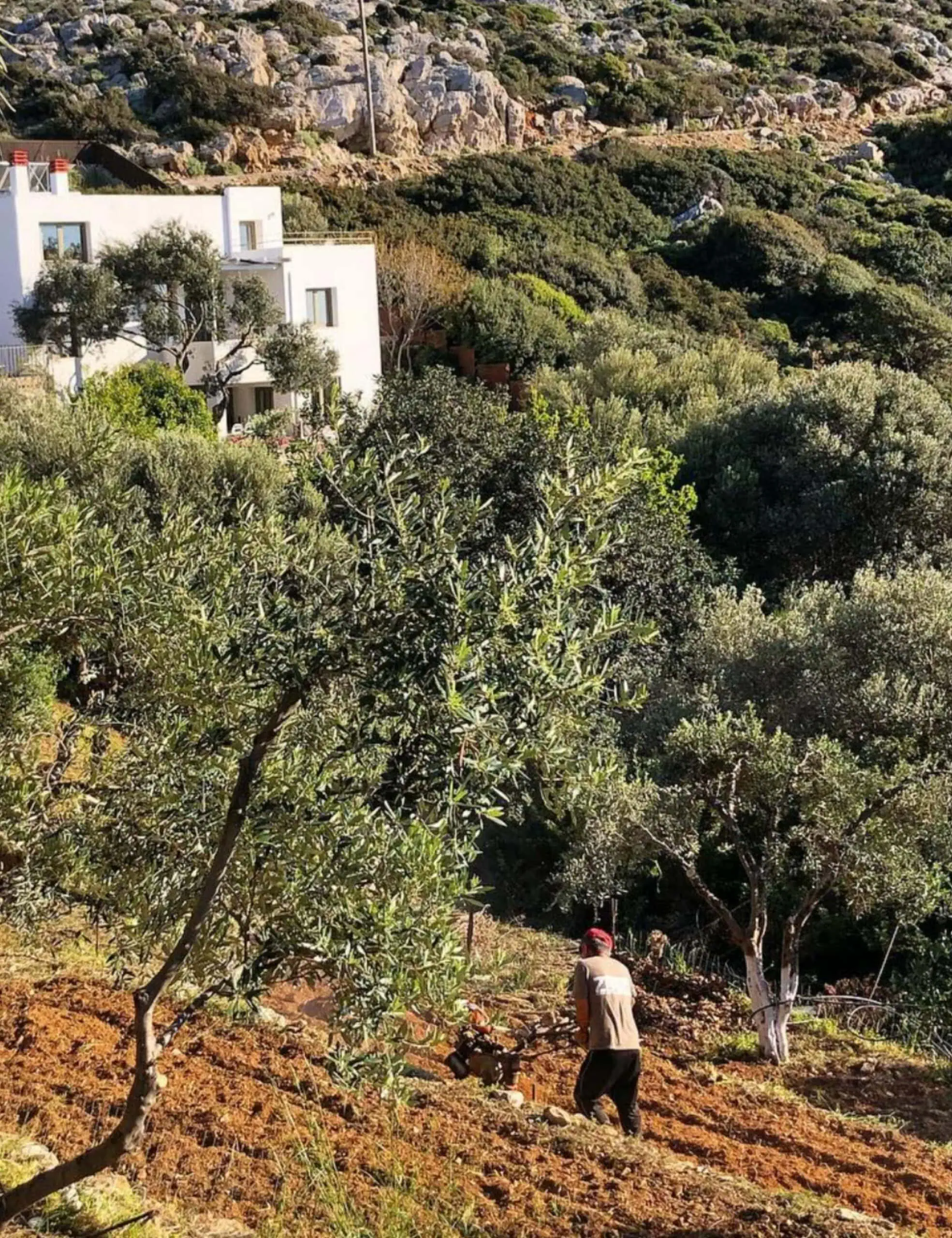 Good Travel-Tipp Für Familienurlaub – Kreta Mit Kindern: Mourtzanakis Residence Im Kleinen Bergdorf Achlada