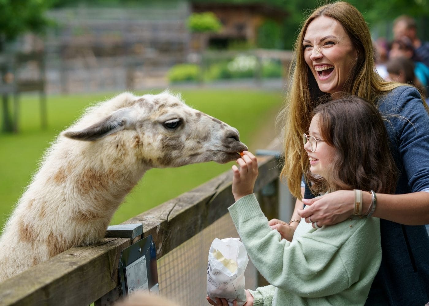 Familienpass Vom Jugendkulturservice // Himbeer 2025