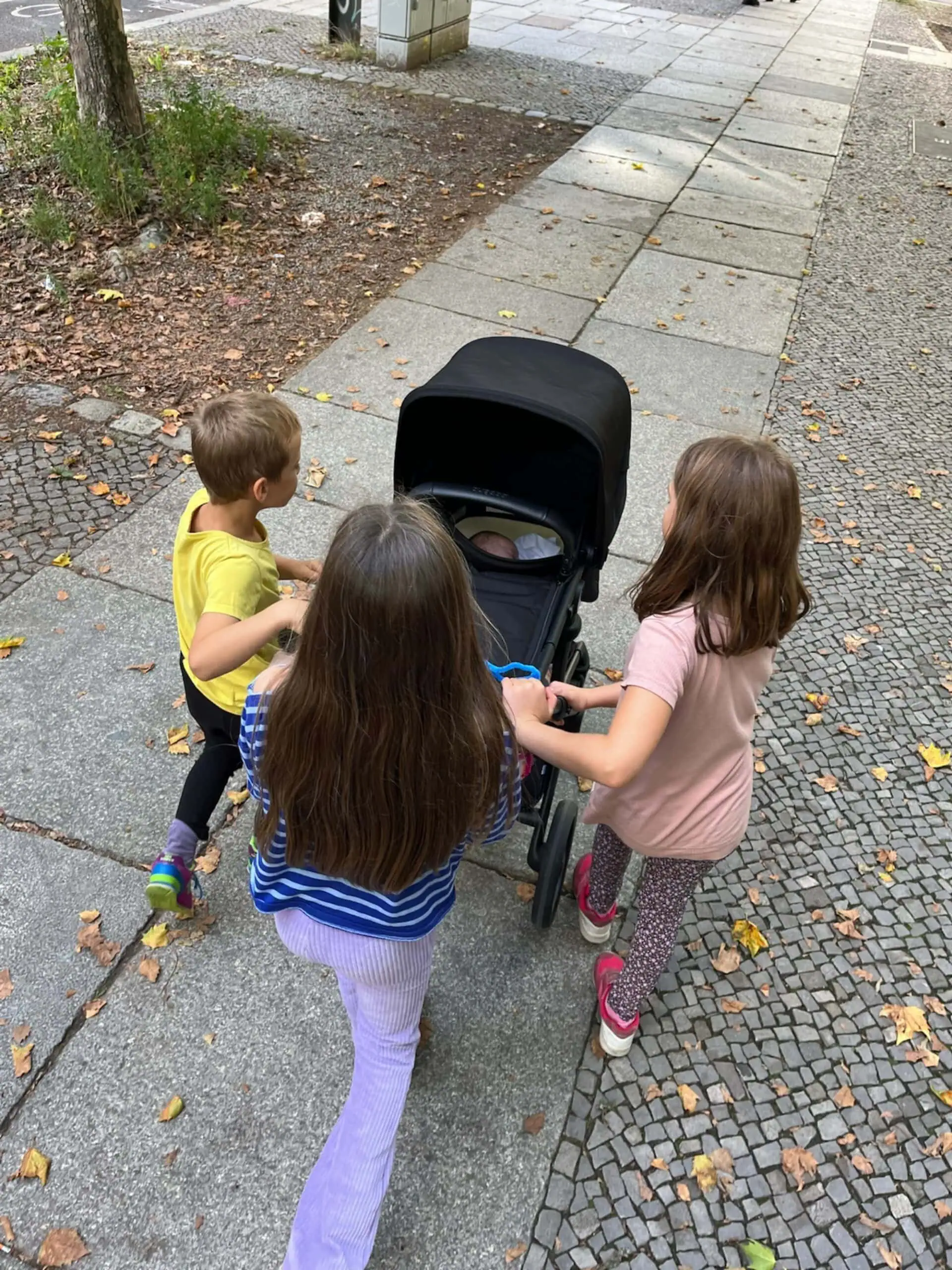 Himbeer Testbericht: Der Bugaboo Fox 5 Renew Im Praxistest – Mit Baby Und Geschwisterkind Durch Den Urbanen Großstadtalltag