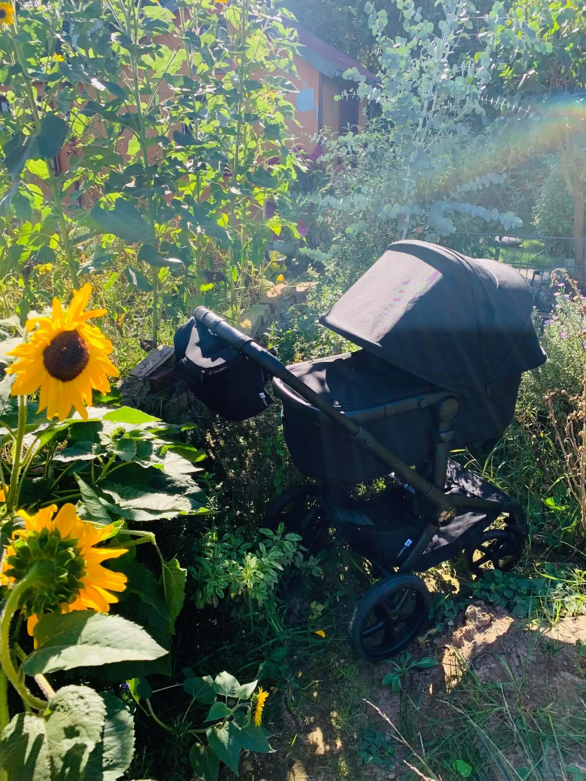 Himbeer Testbericht: Der Bugaboo Fox 5 Renew Im Praxistest – Mit Baby Und Geschwisterkind Durch Den Urbanen Großstadtalltag