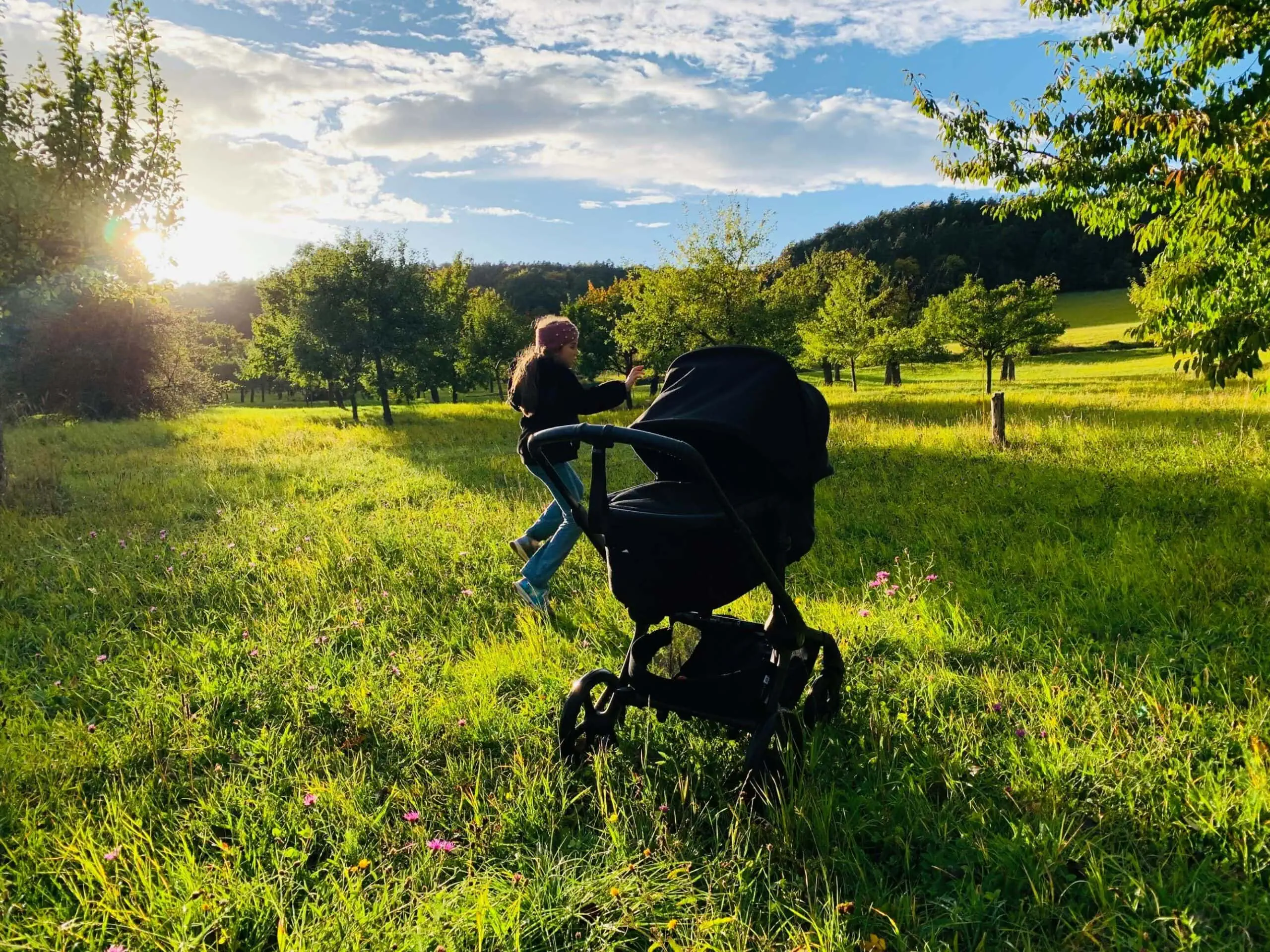 Himbeer Testbericht: Der Bugaboo Fox 5 Renew Im Praxistest – Mit Baby Und Geschwisterkind Durch Den Urbanen Großstadtalltag